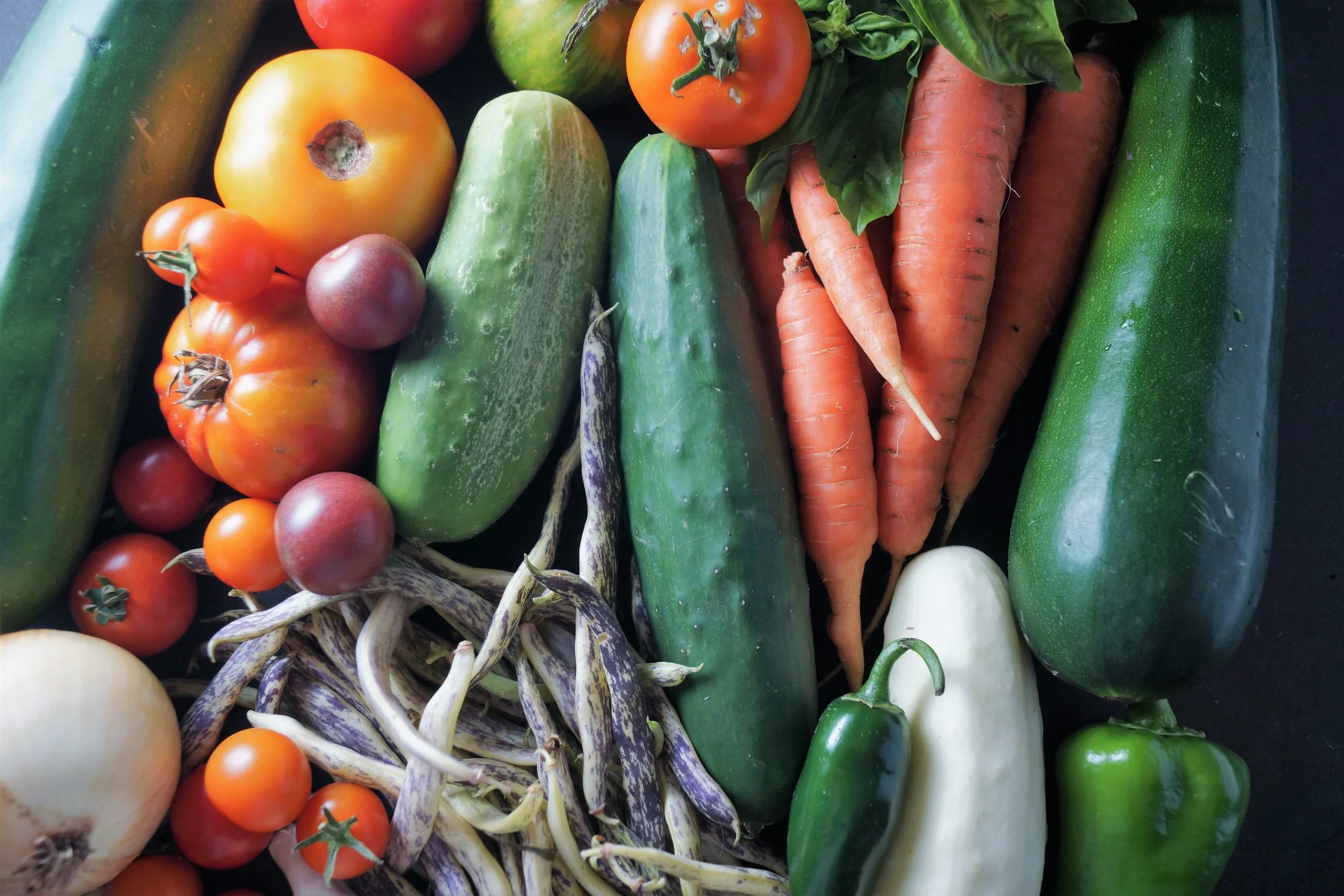 8.9.17 Wisconsin Grown | Part 14