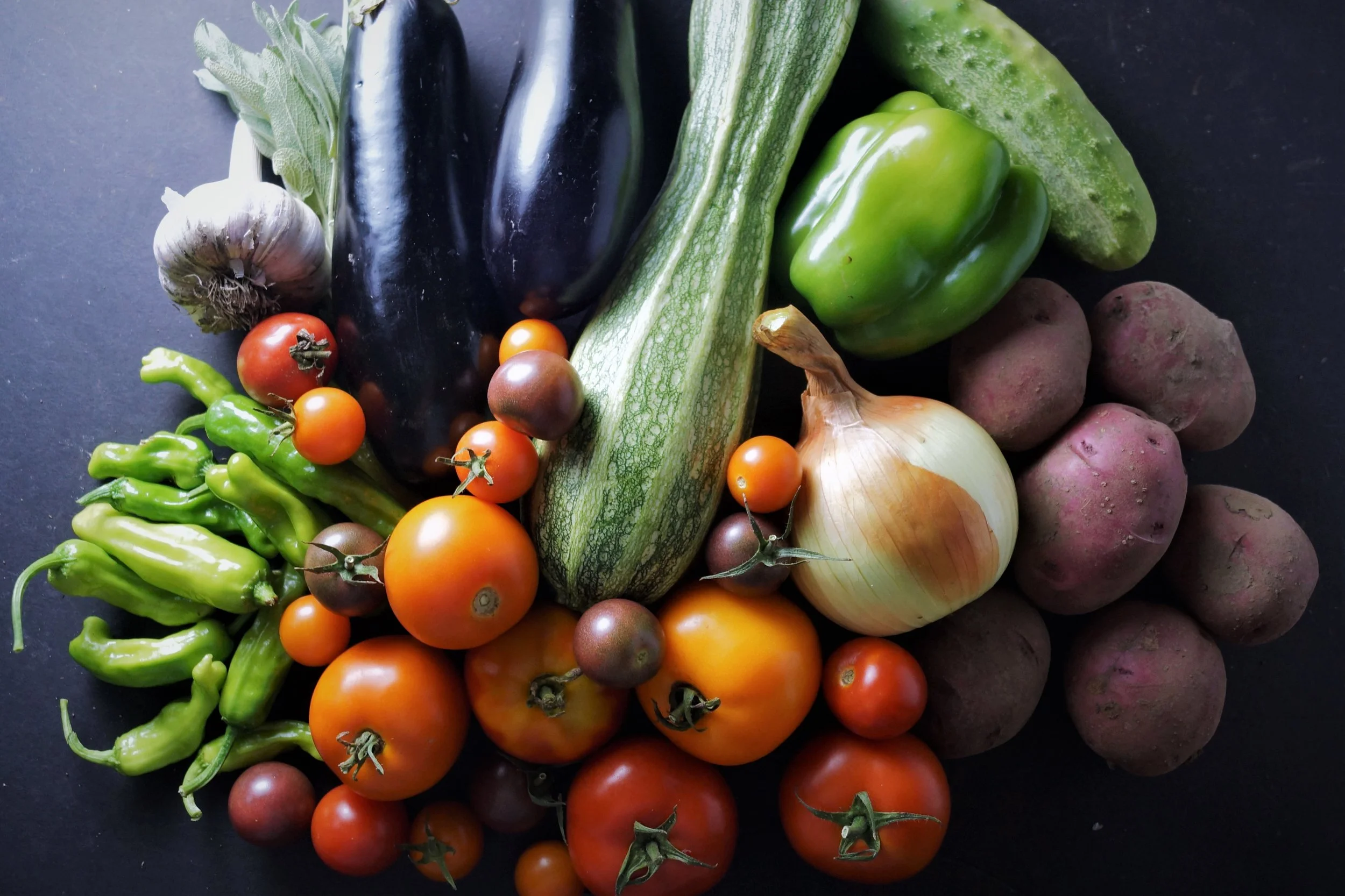 8.16.17 Wisconsin Grown | Part 15