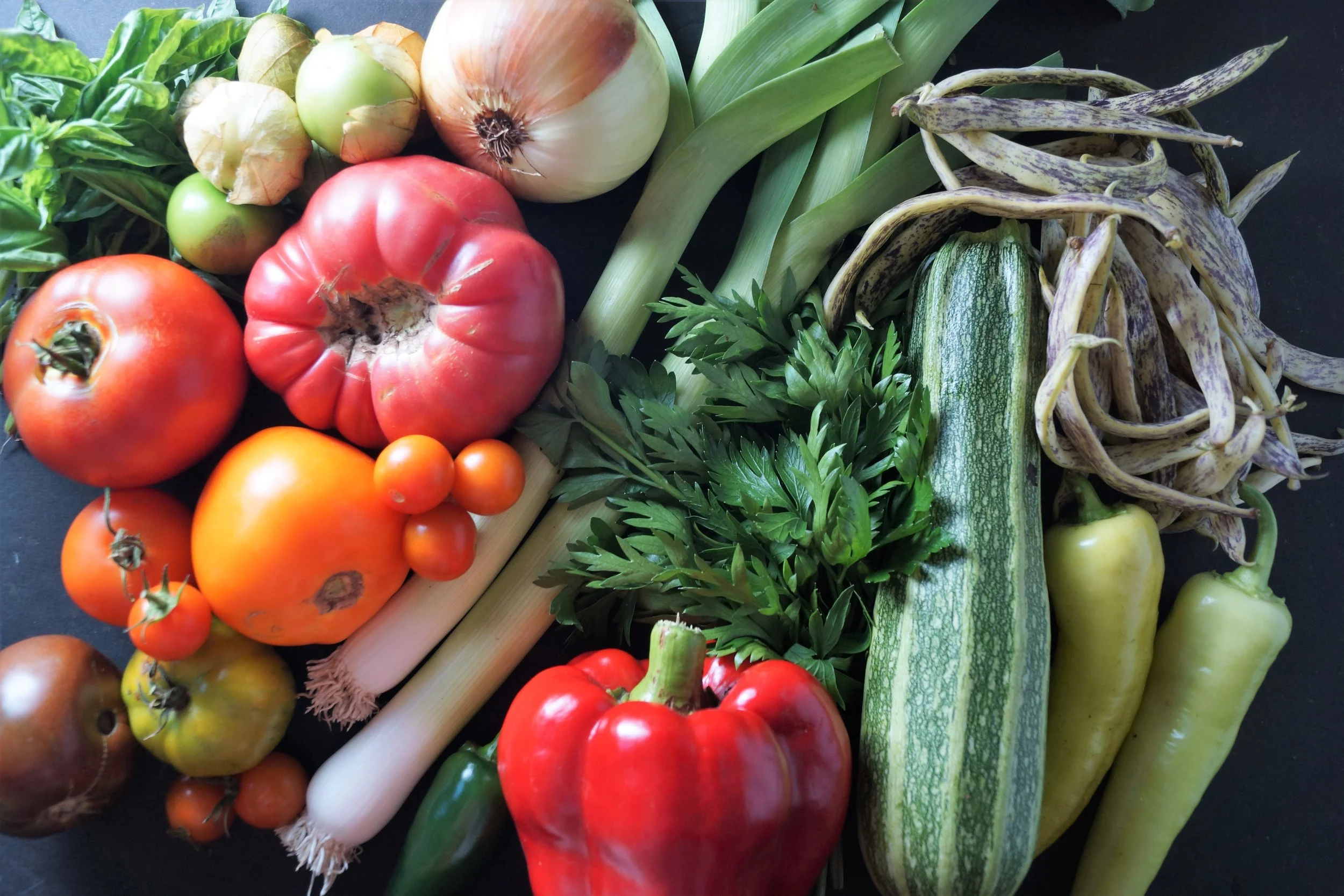 8.23.17 Wisconsin Grown | Part 16