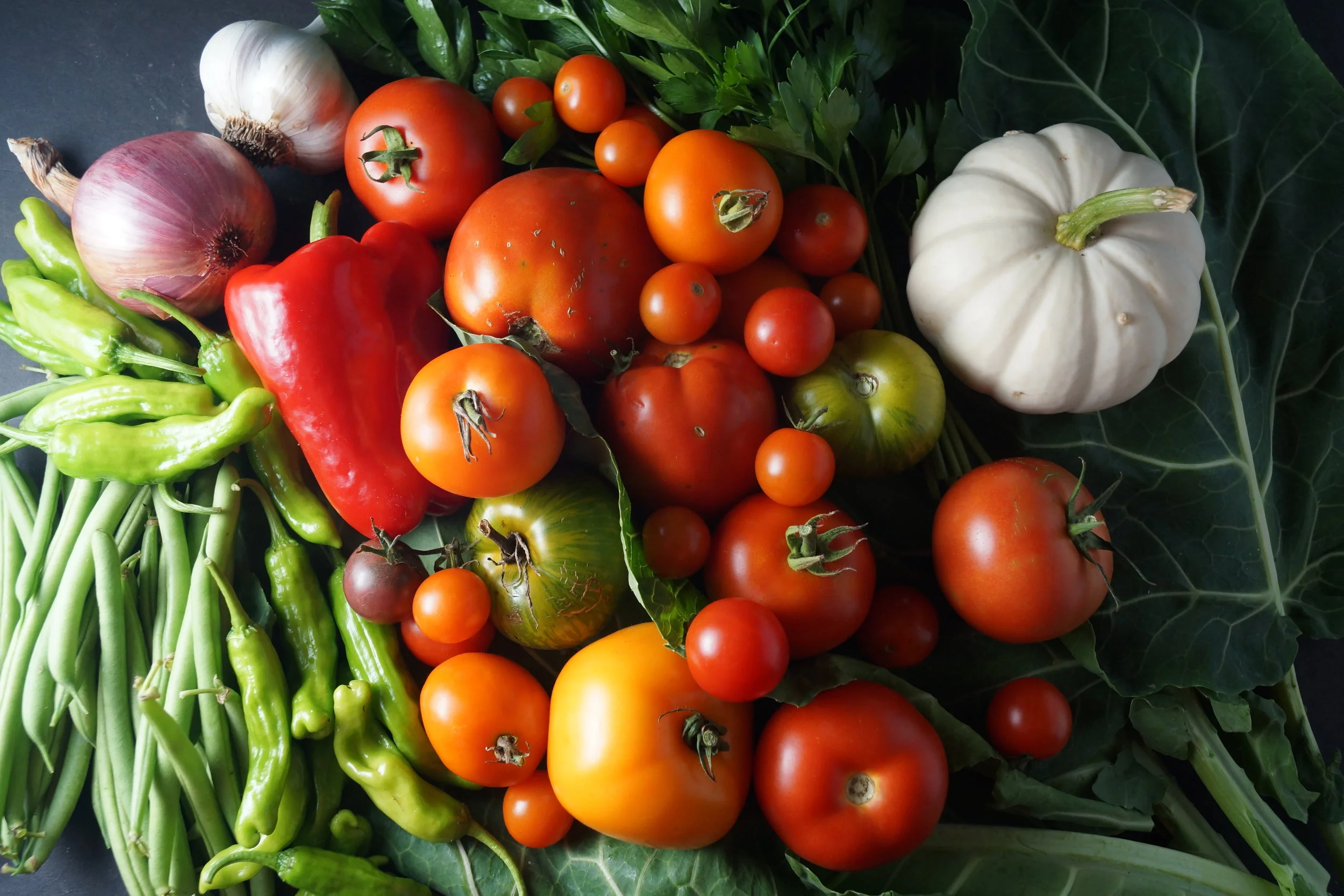 9.6.17 Wisconsin Grown | Part 18