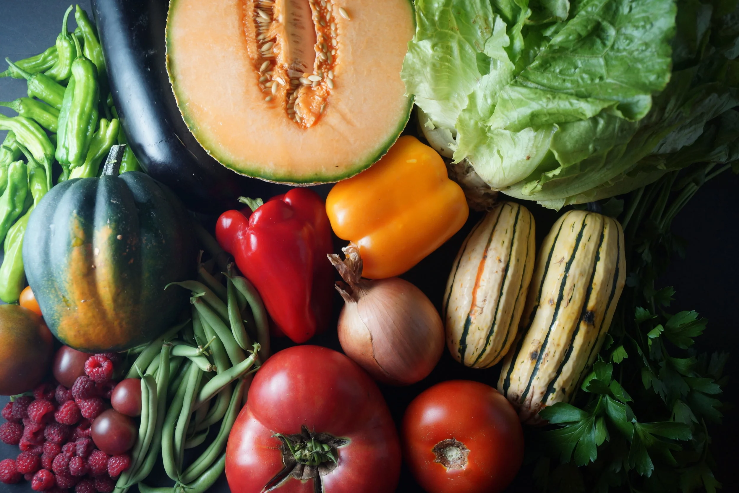 9.27.17 Wisconsin Grown | Part 21