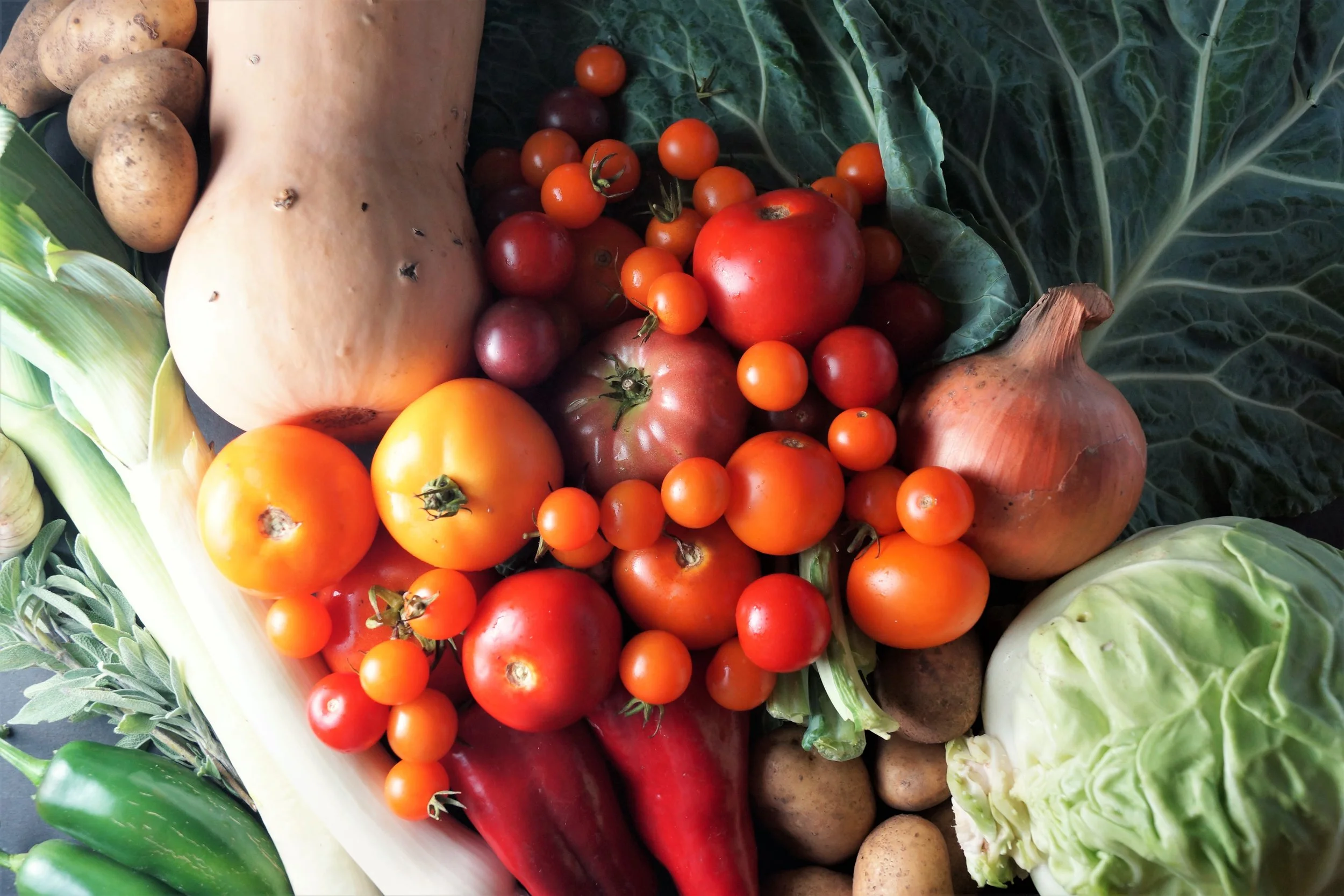 10.4.17 Wisconsin Grown | Part 22