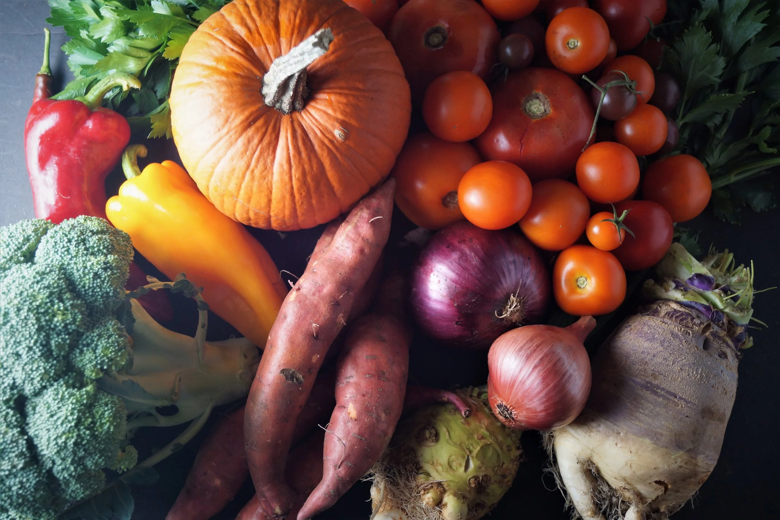 10.11.17 Wisconsin Grown | Part 23