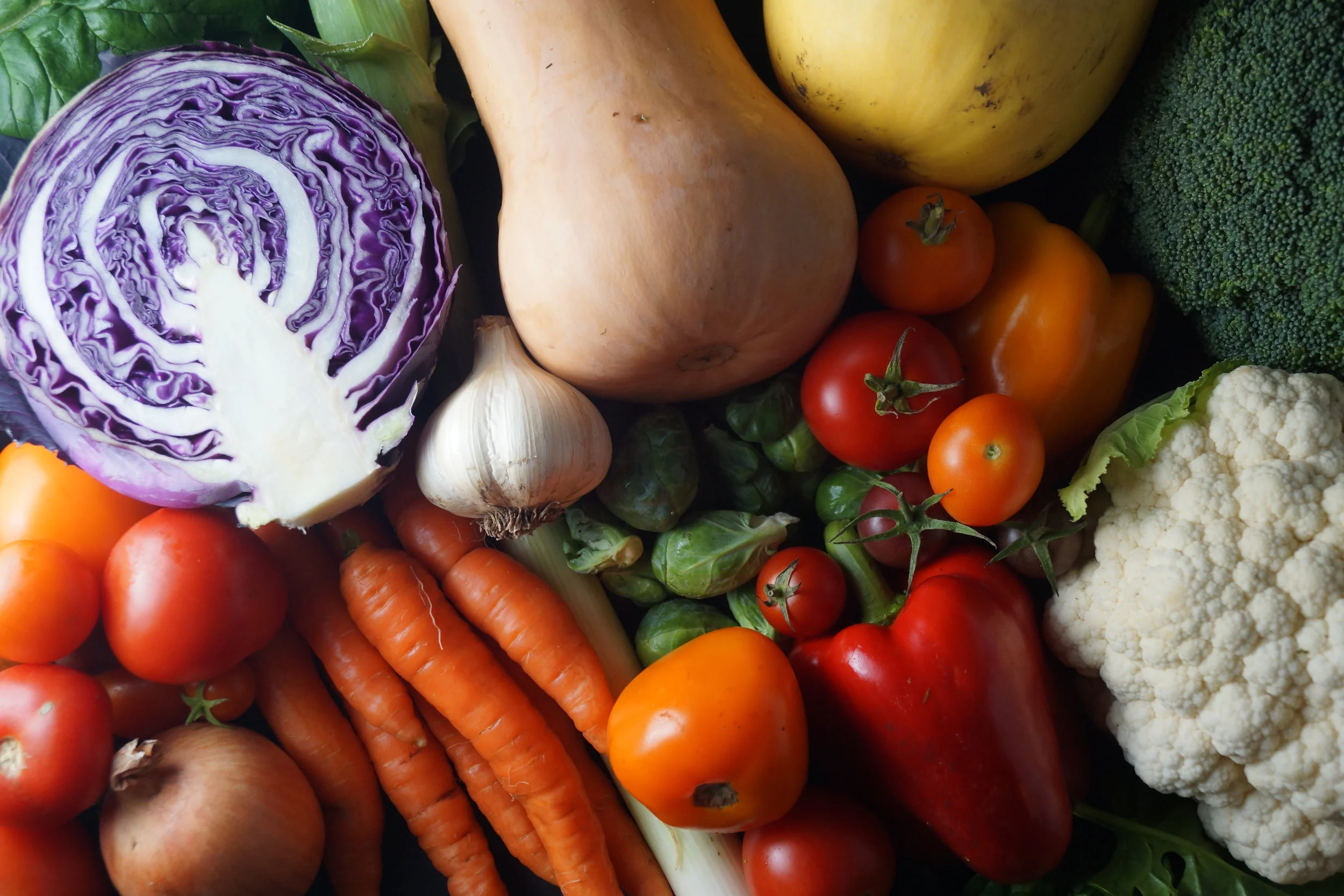 10.18.17 Wisconsin Grown | Part 24