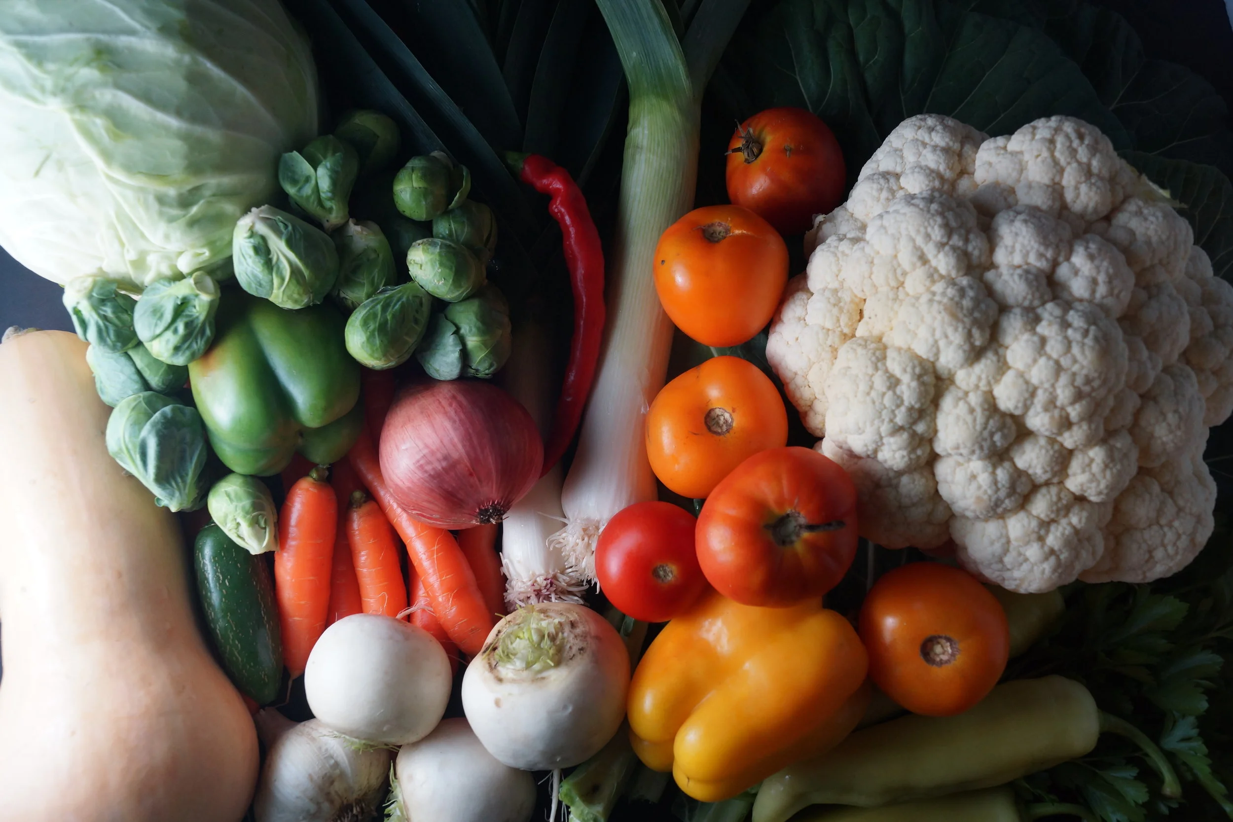 11.1.17 Wisconsin Grown | Part 26