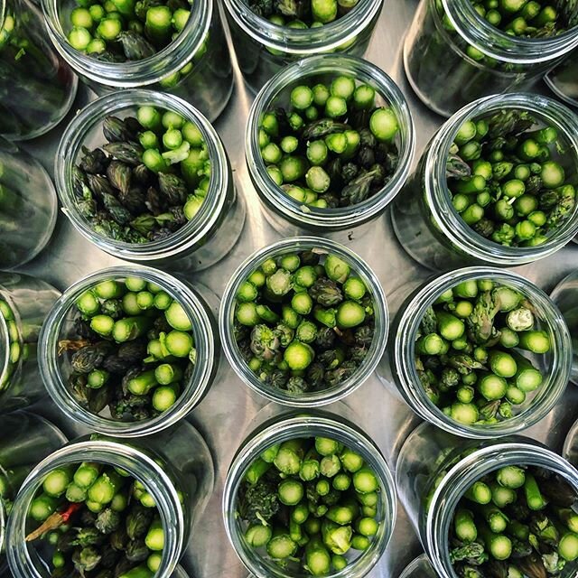 Living that pickle life 💚 #pickledasparagus #forwardprovisions