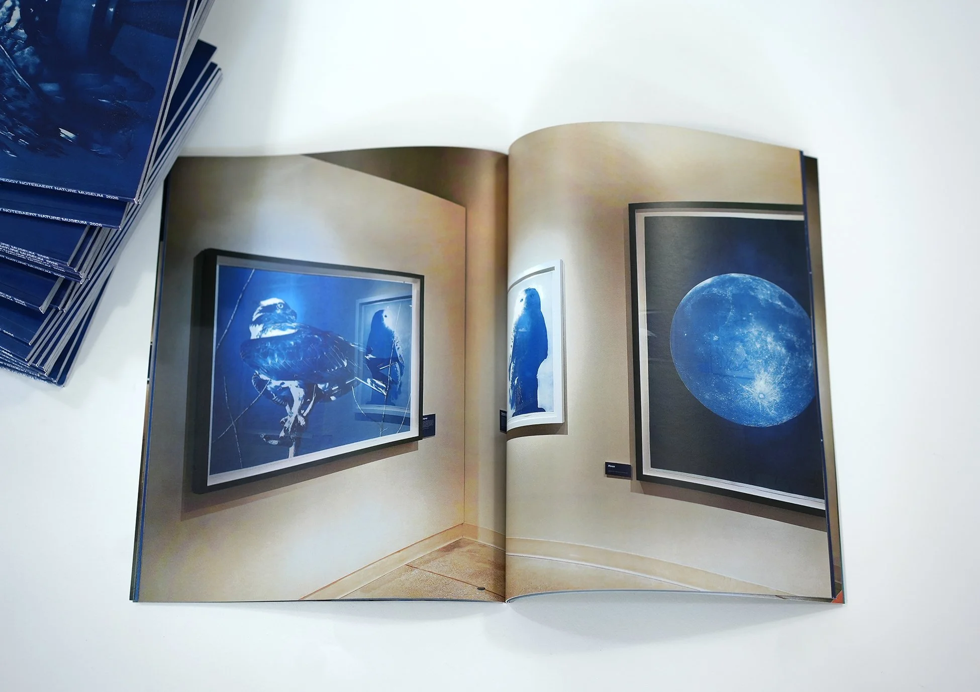 catalog 03.jpg