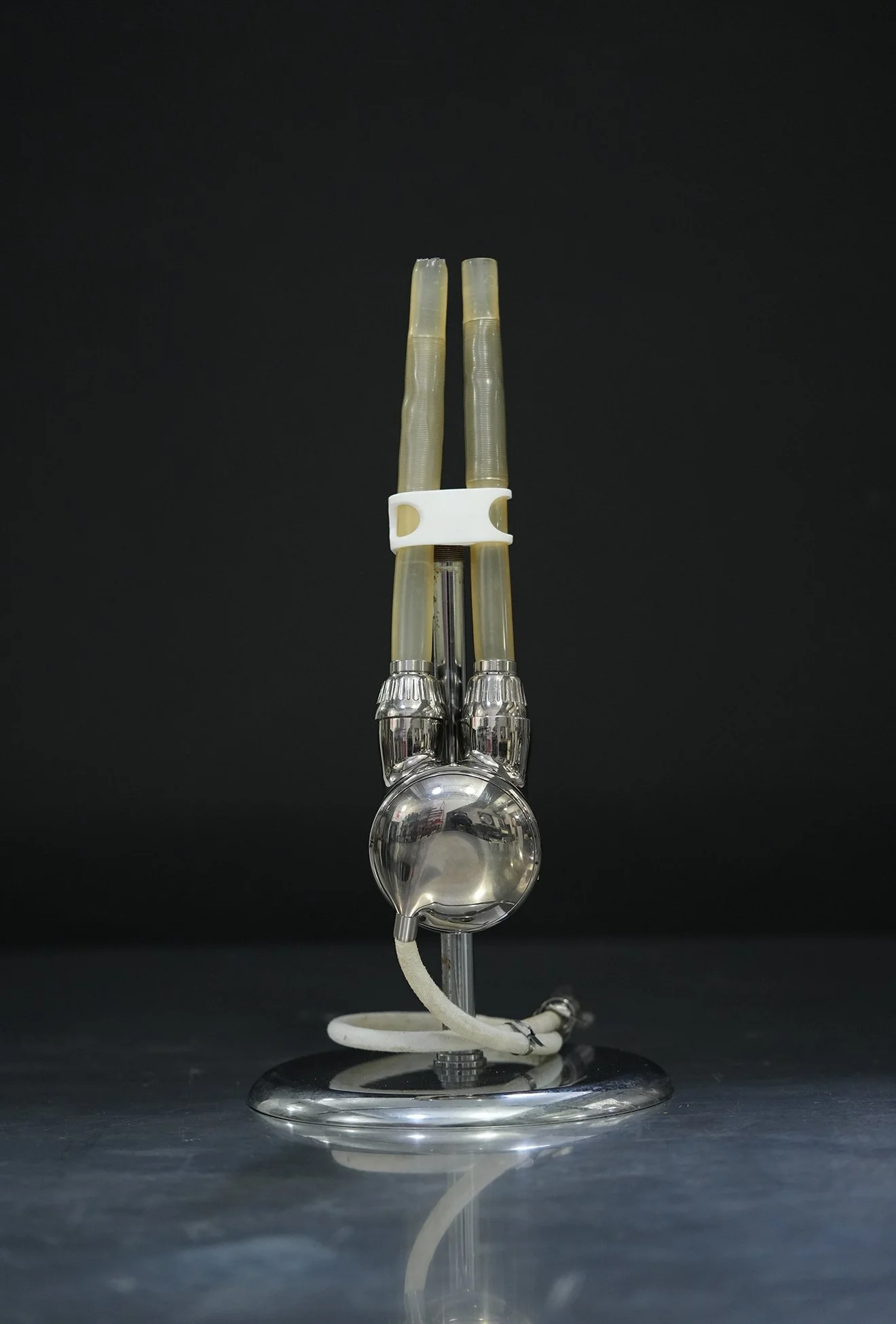 titanium heart 02.jpg