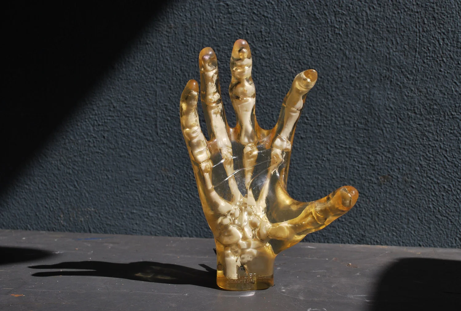 bone_hand_agentgallery.jpg