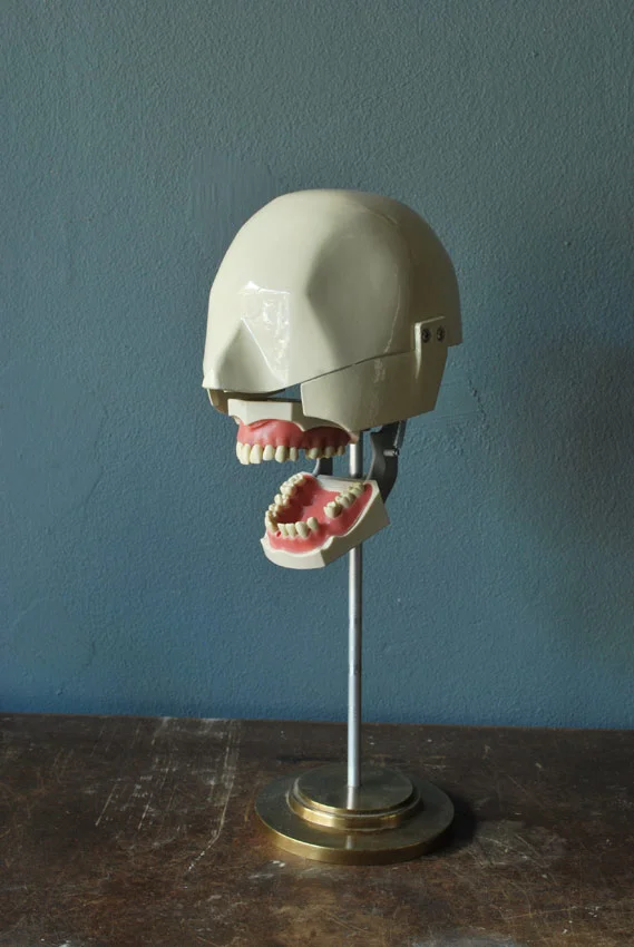 cream_ortho_metal_head_agentgallery01.jpg
