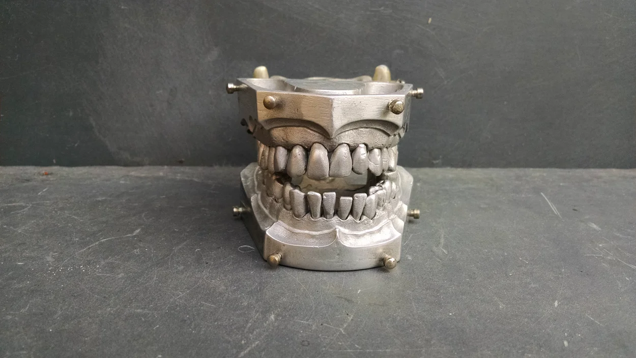 Aluminum_typodont_02.jpg