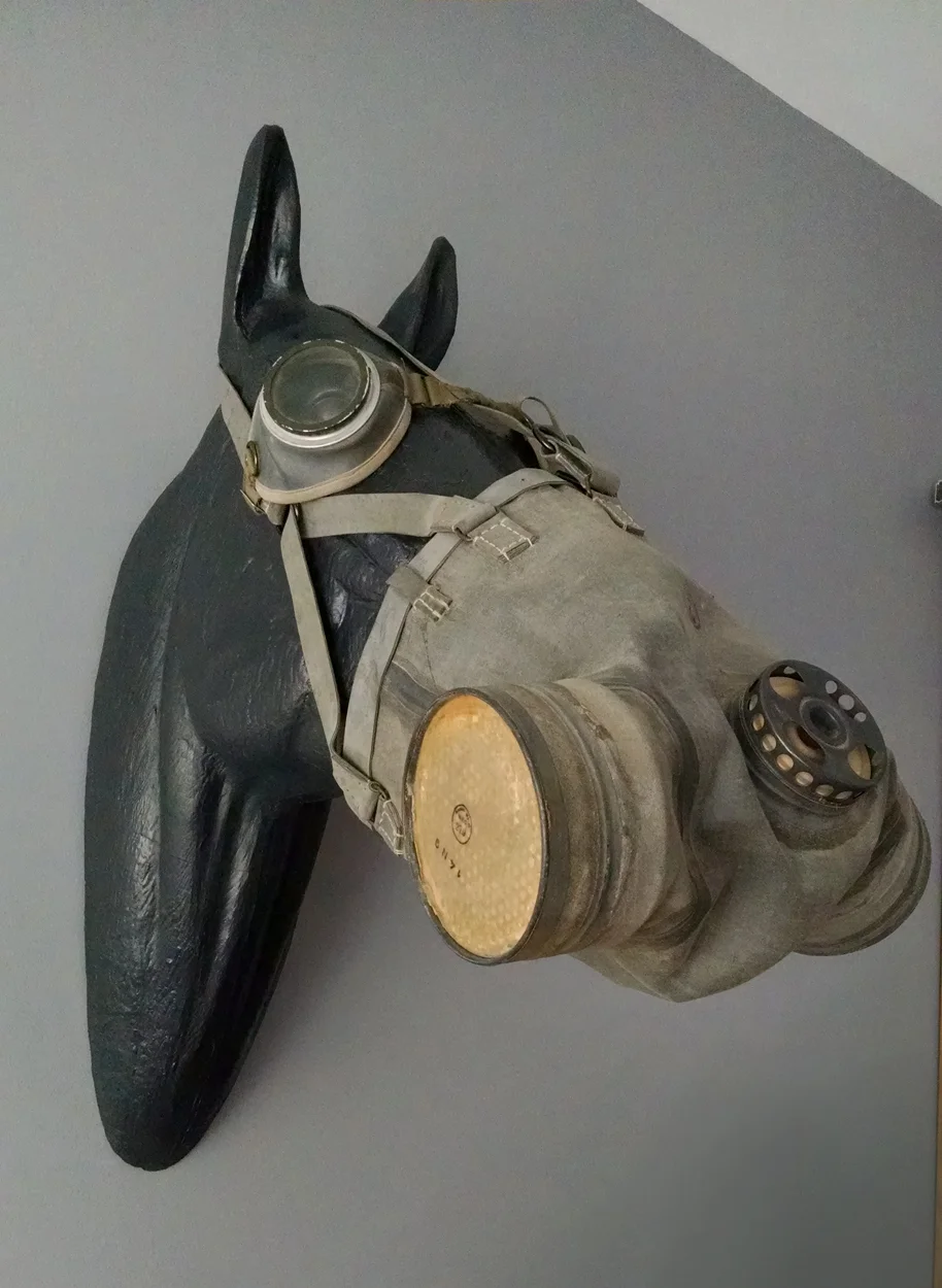 horseheadgasmask01.jpg
