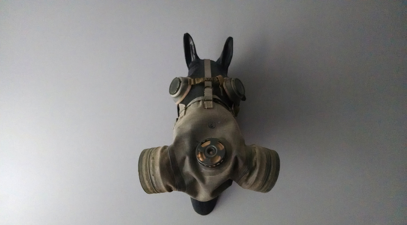 horse gas mask