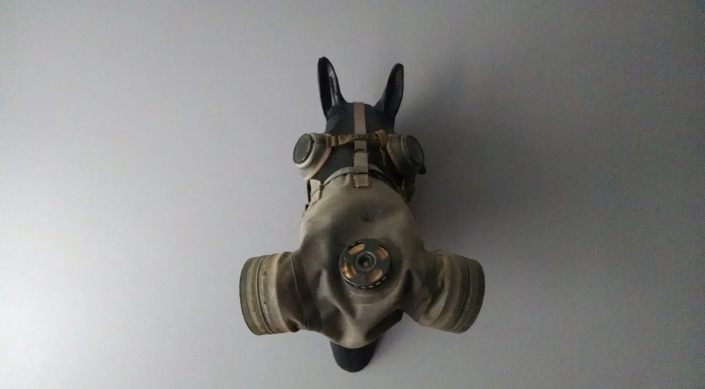 1940's Horse Gas Mask on Display Mount — AGENT GALLERY CHICAGO