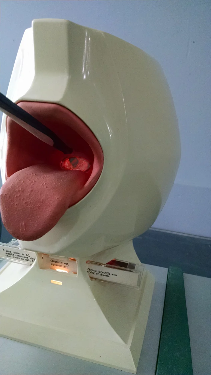 medical_phantom_manikin_agentgallery03.jpg