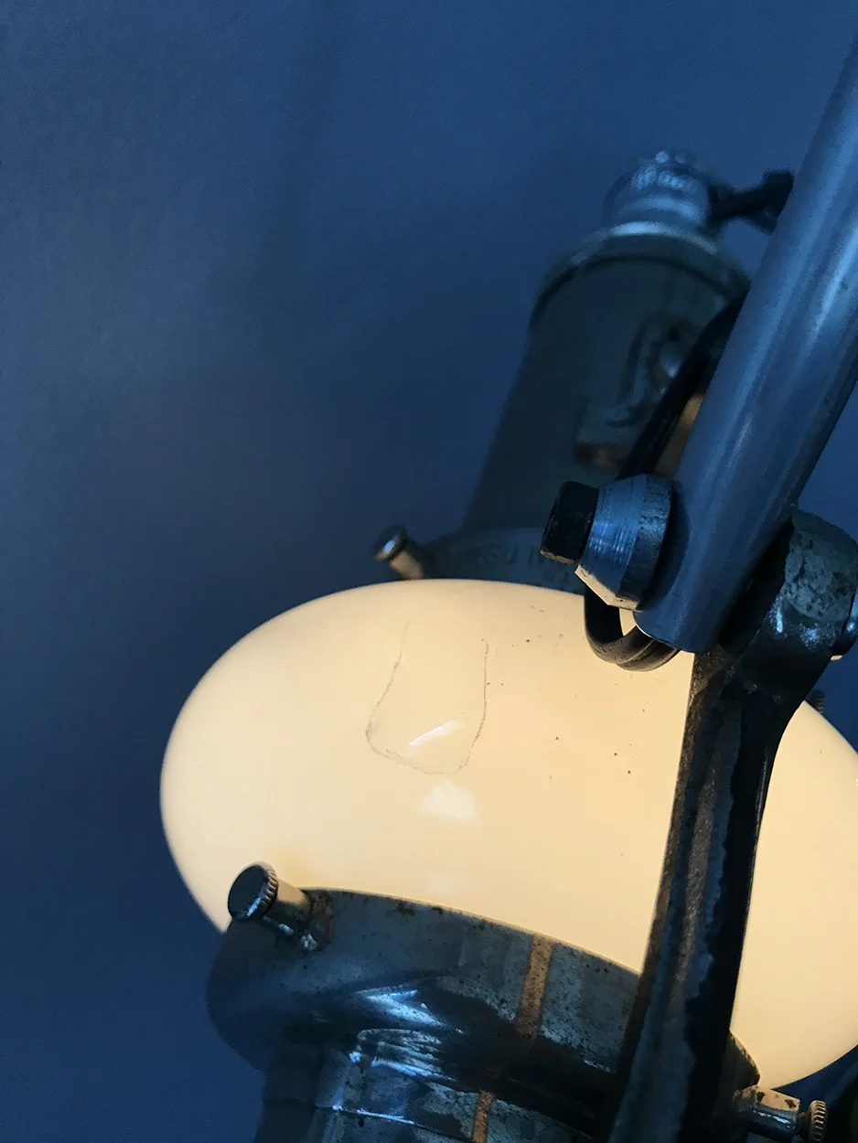 dentoscope_09.jpg
