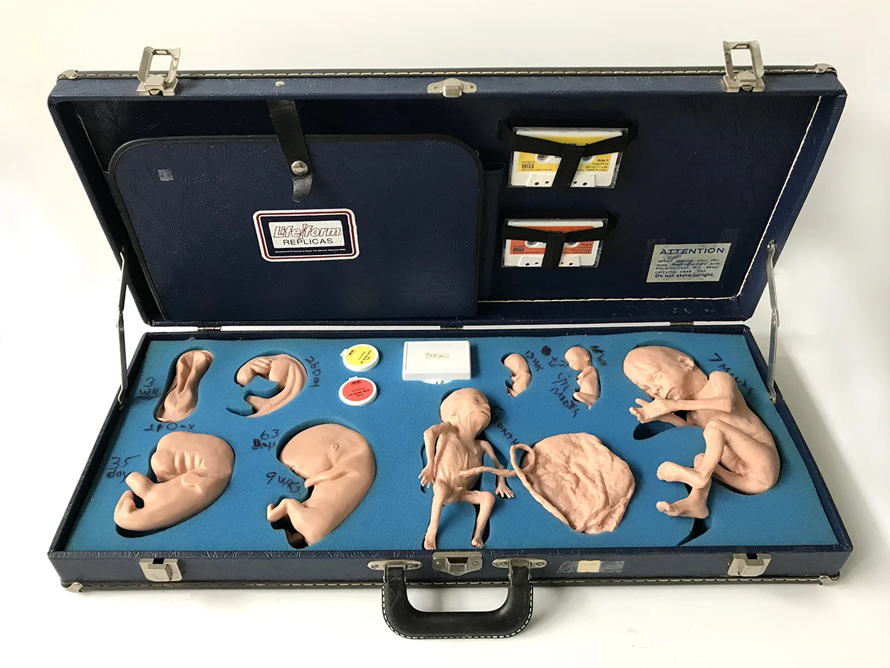 lifeform_fetus00.jpg