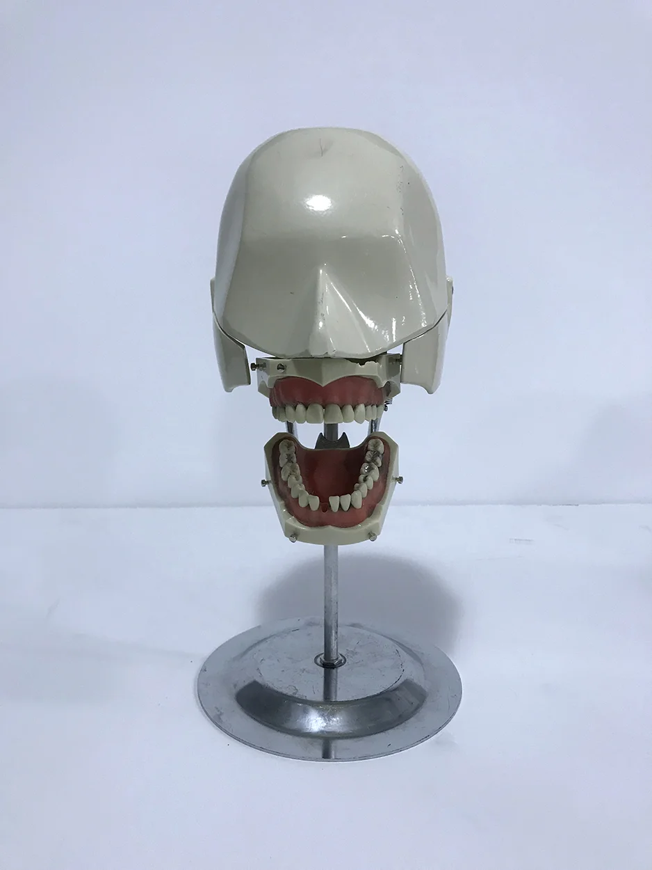 whitedentalhead01.jpg