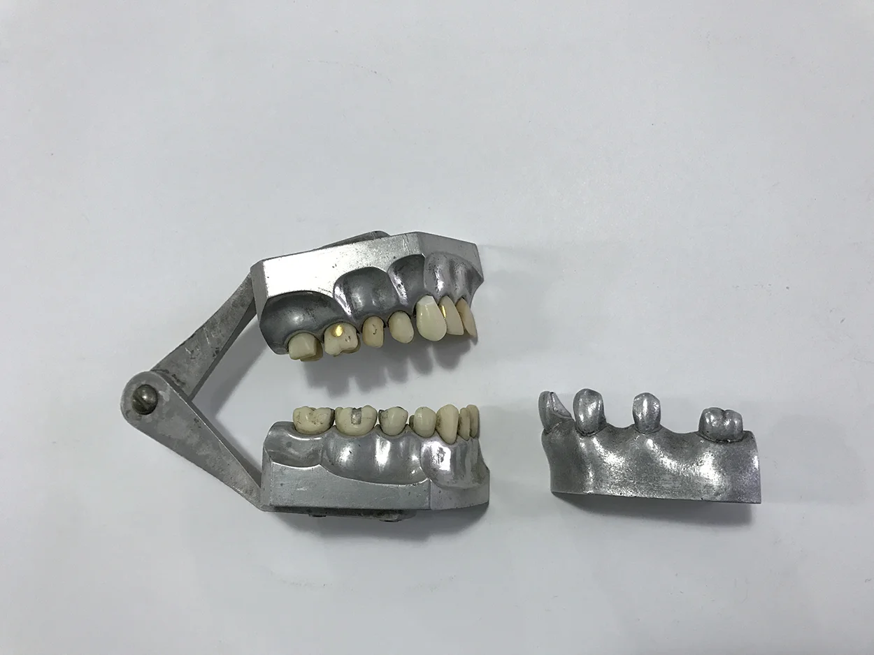 metal_dentoform_01.jpg