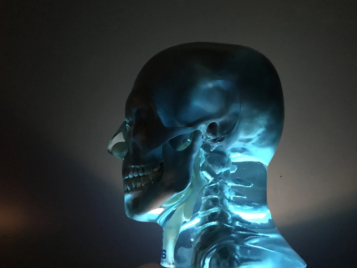 cirs xray phantom 02.jpg