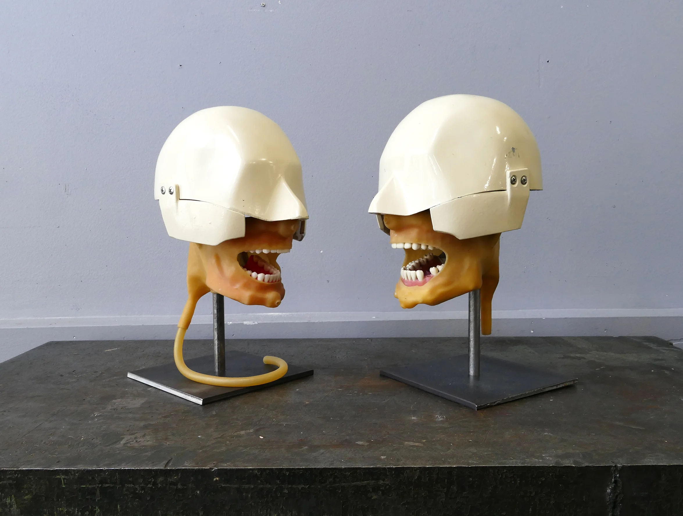 dental phantom shroud 01.jpg