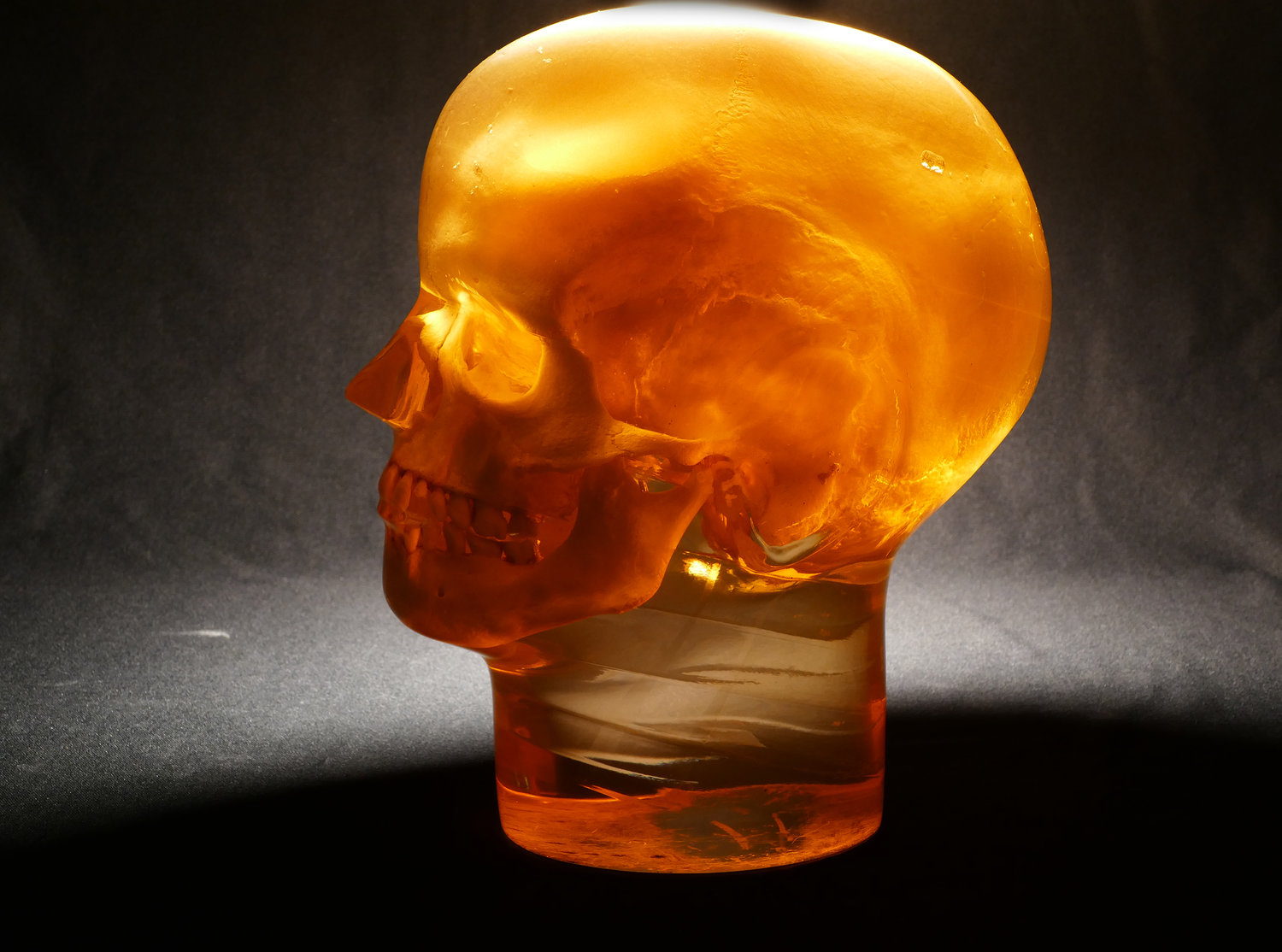 BONES Portrait X-ray Marker Parker for Radiology Technologist (multicolor  skull) - Yahoo Shopping