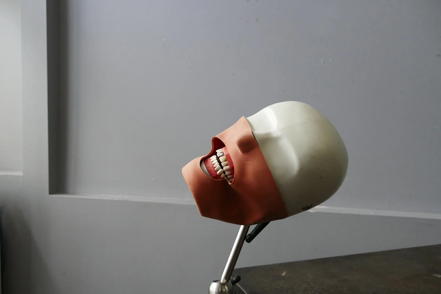 frasaco 01.jpg