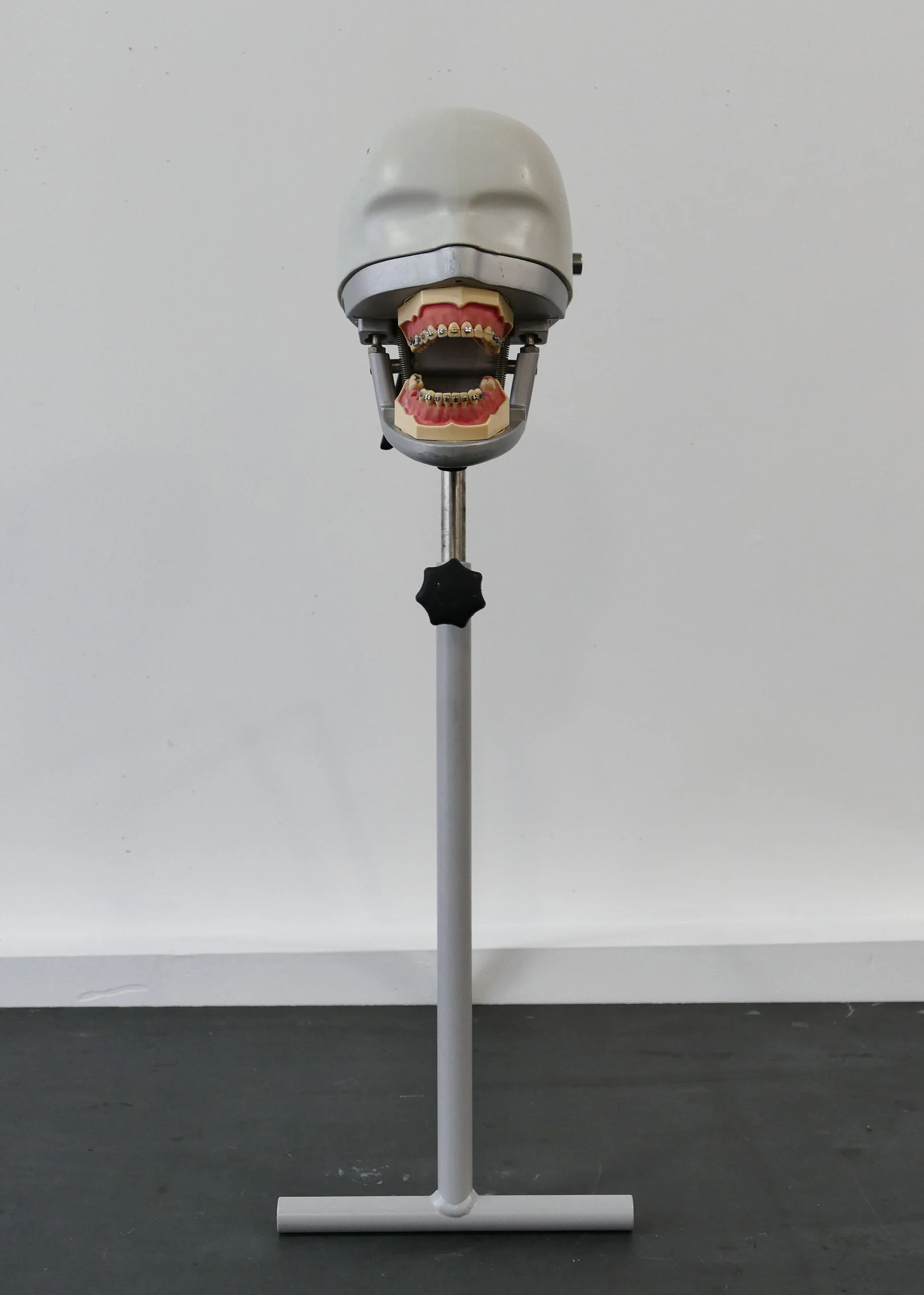 frasaco phantom 01.jpg