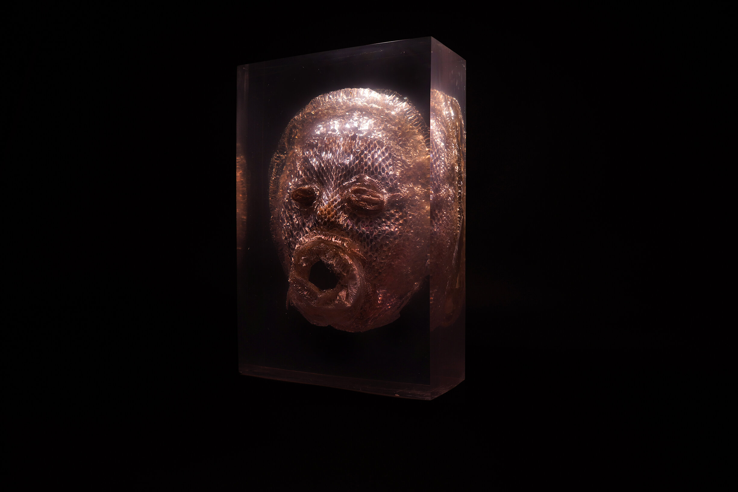 DM mask 02.jpg