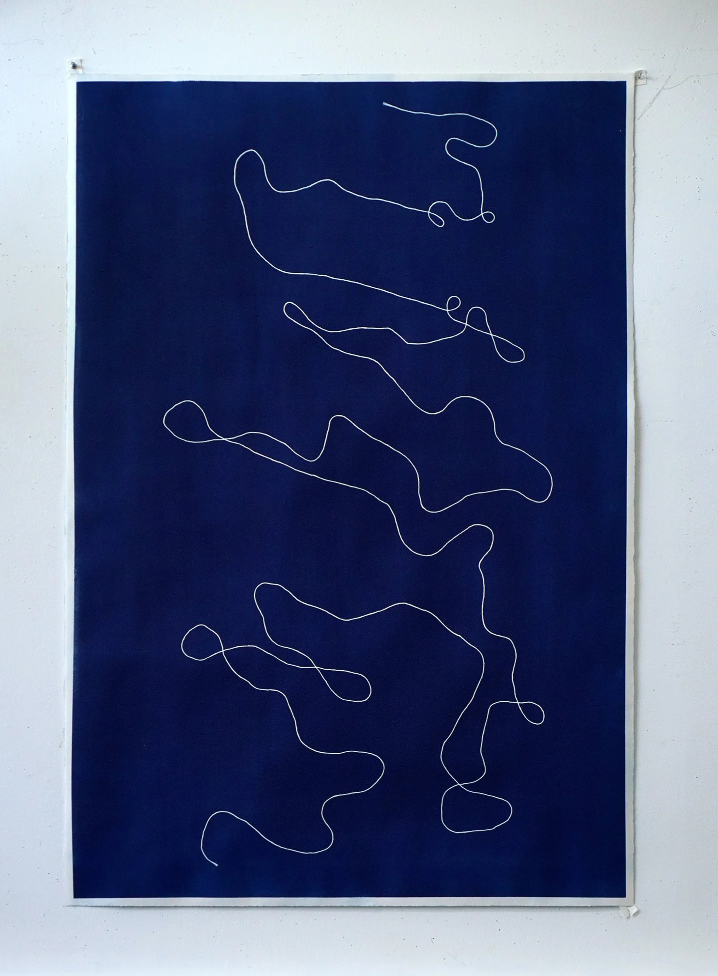 string cyano 03.jpg