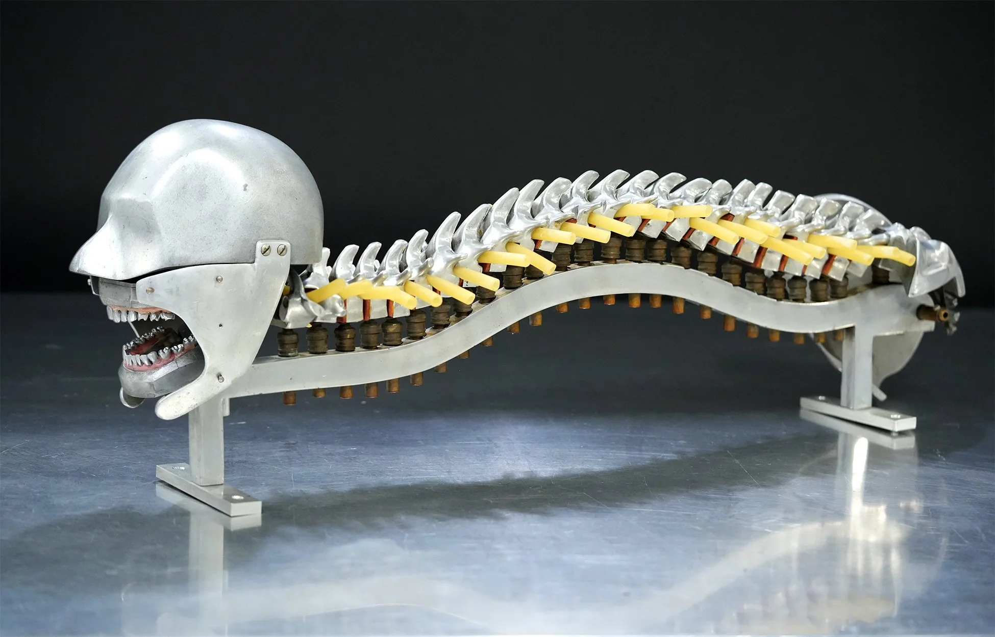 phantom worm 01.jpg