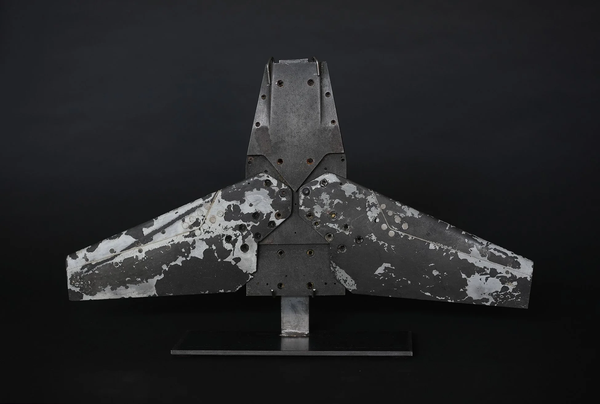 prototype wings 01.jpg