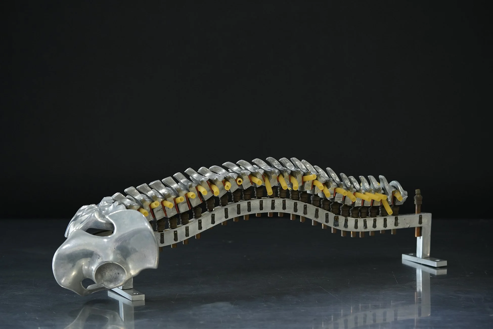 fleet spine 09.jpg