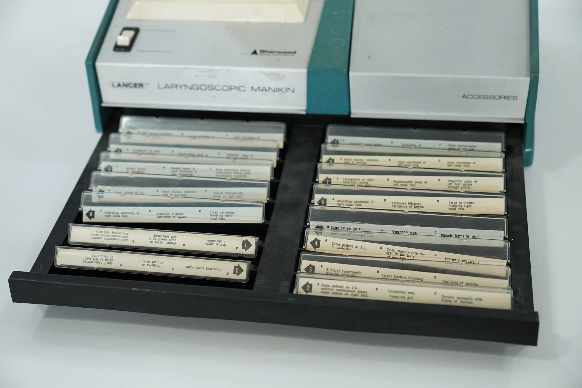 laryngoscopic manikin 09.jpg