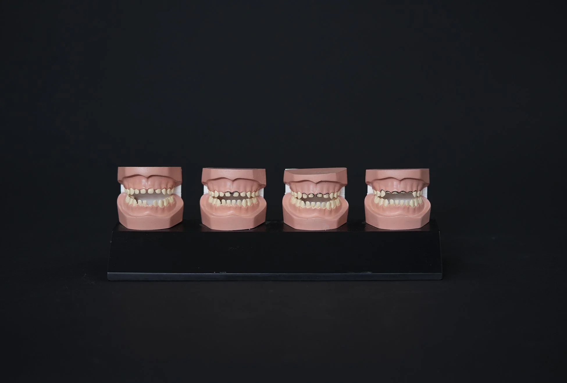 baby decay display 02.jpg