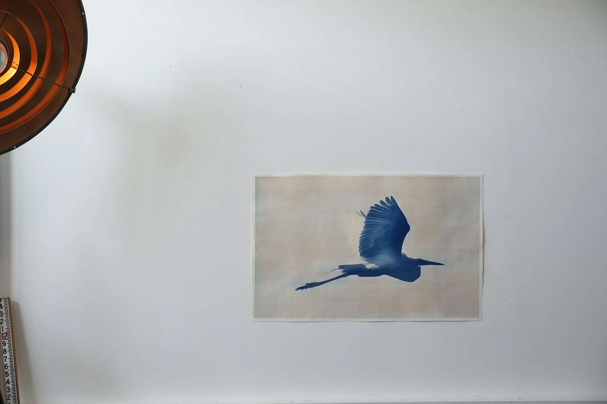 egret 04.jpg
