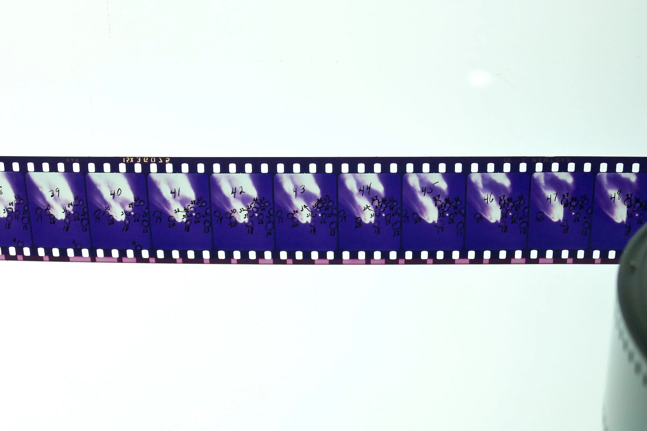 challenger film 04.jpg