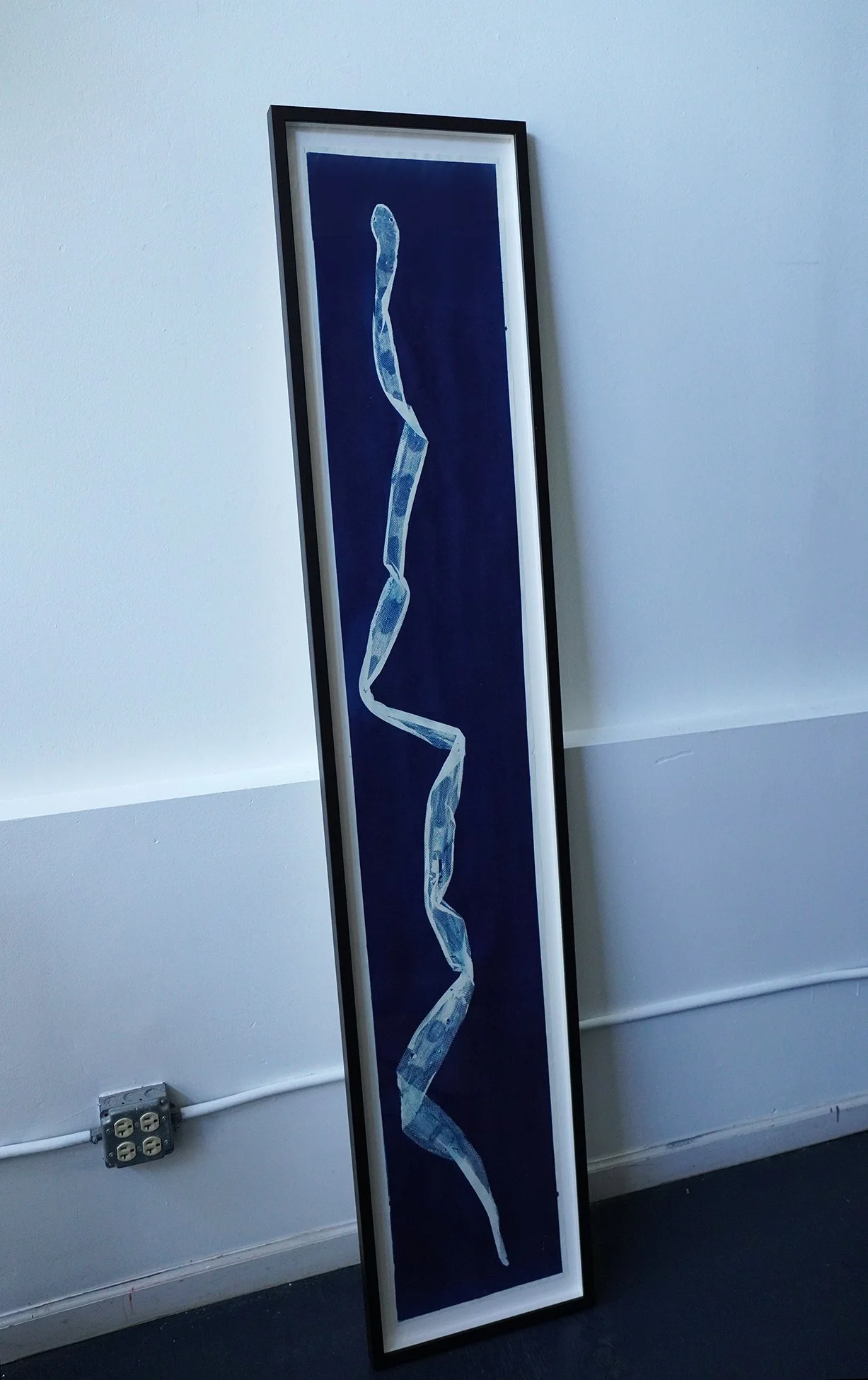 python cyanotype 01.jpg