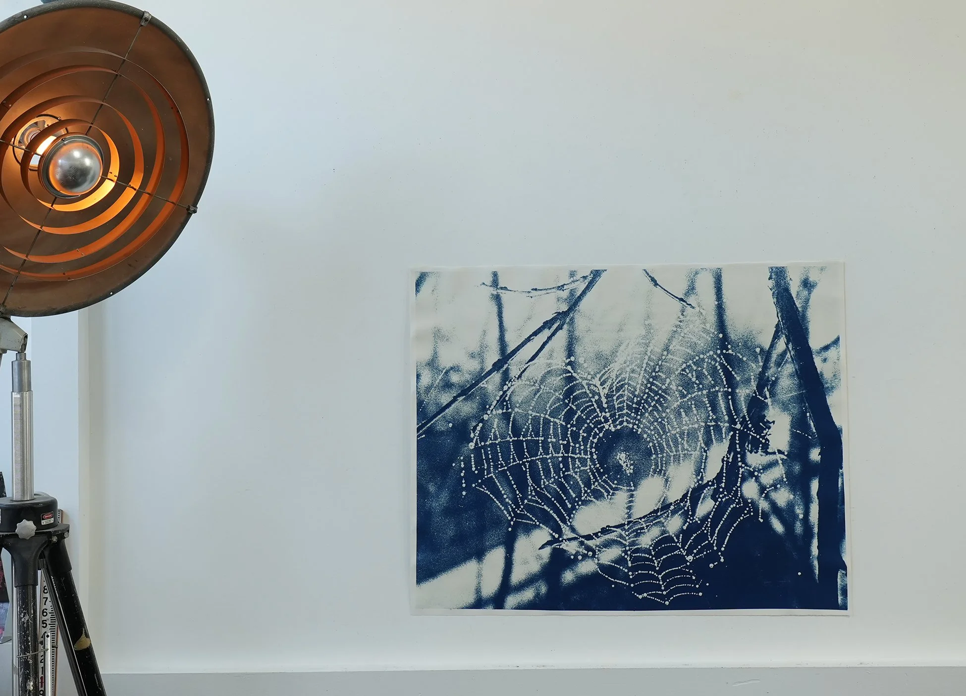 horizontal spider web 01.jpg