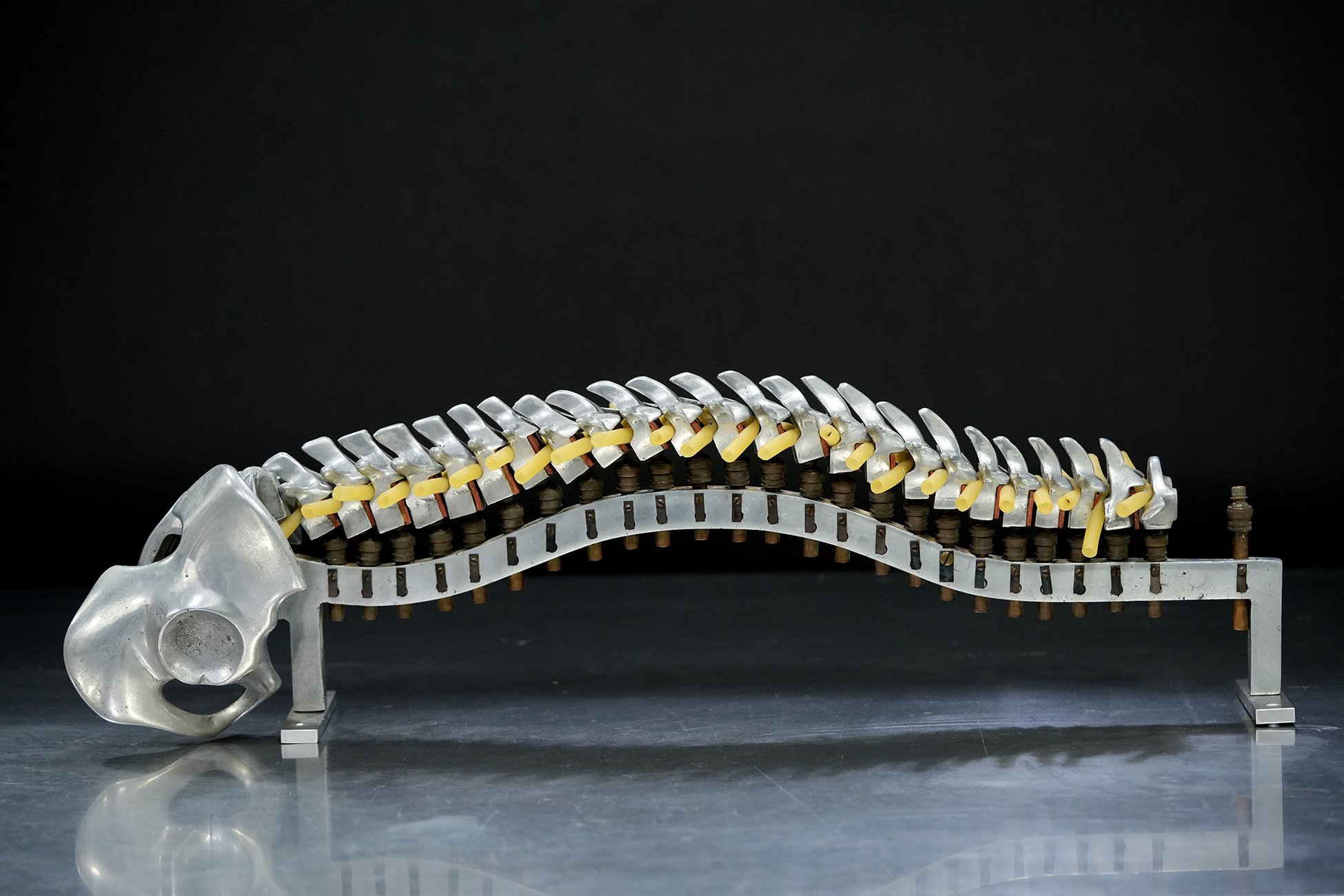 fleet spine 02.jpg