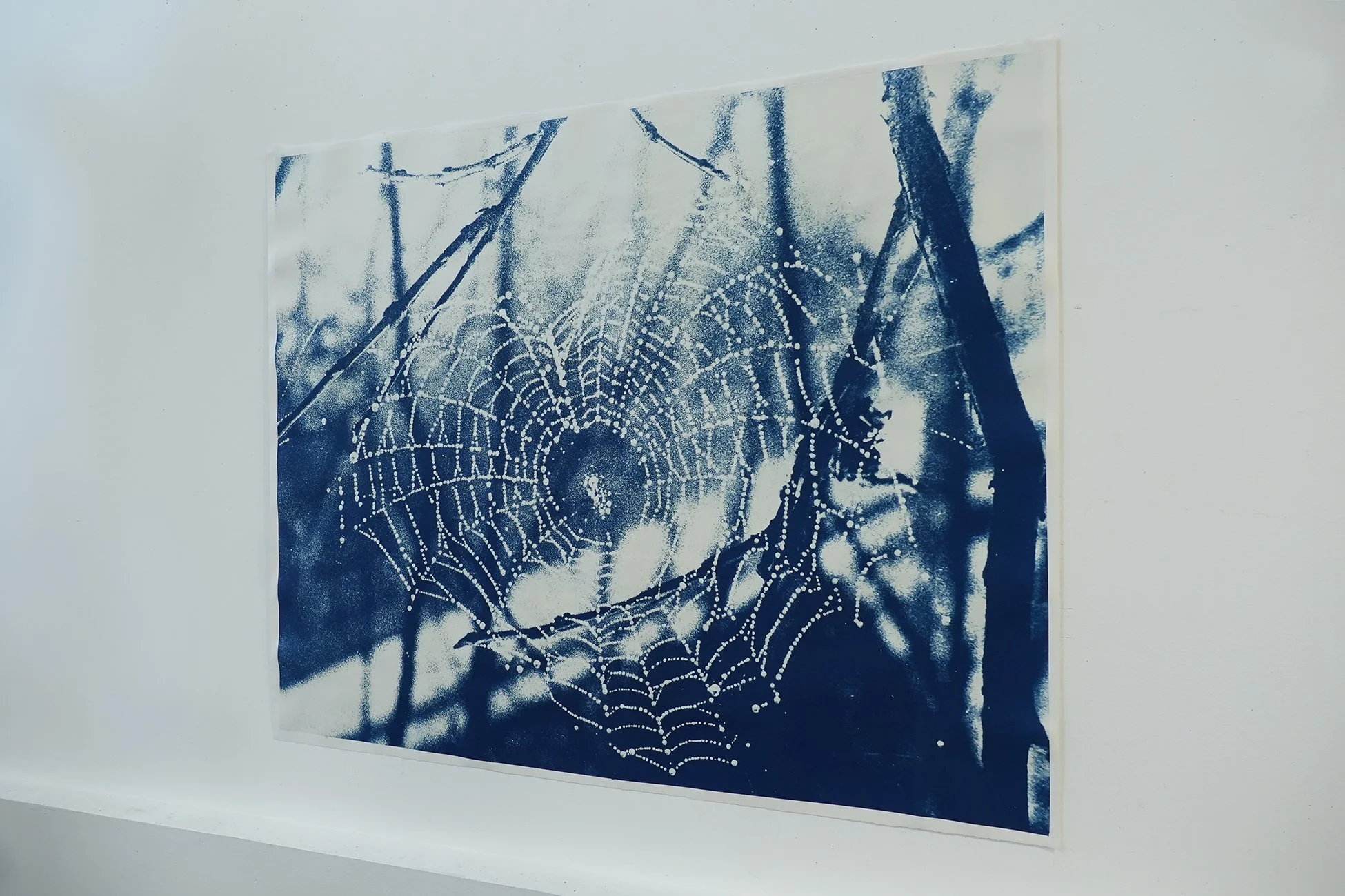 horizontal spider web 02.jpg