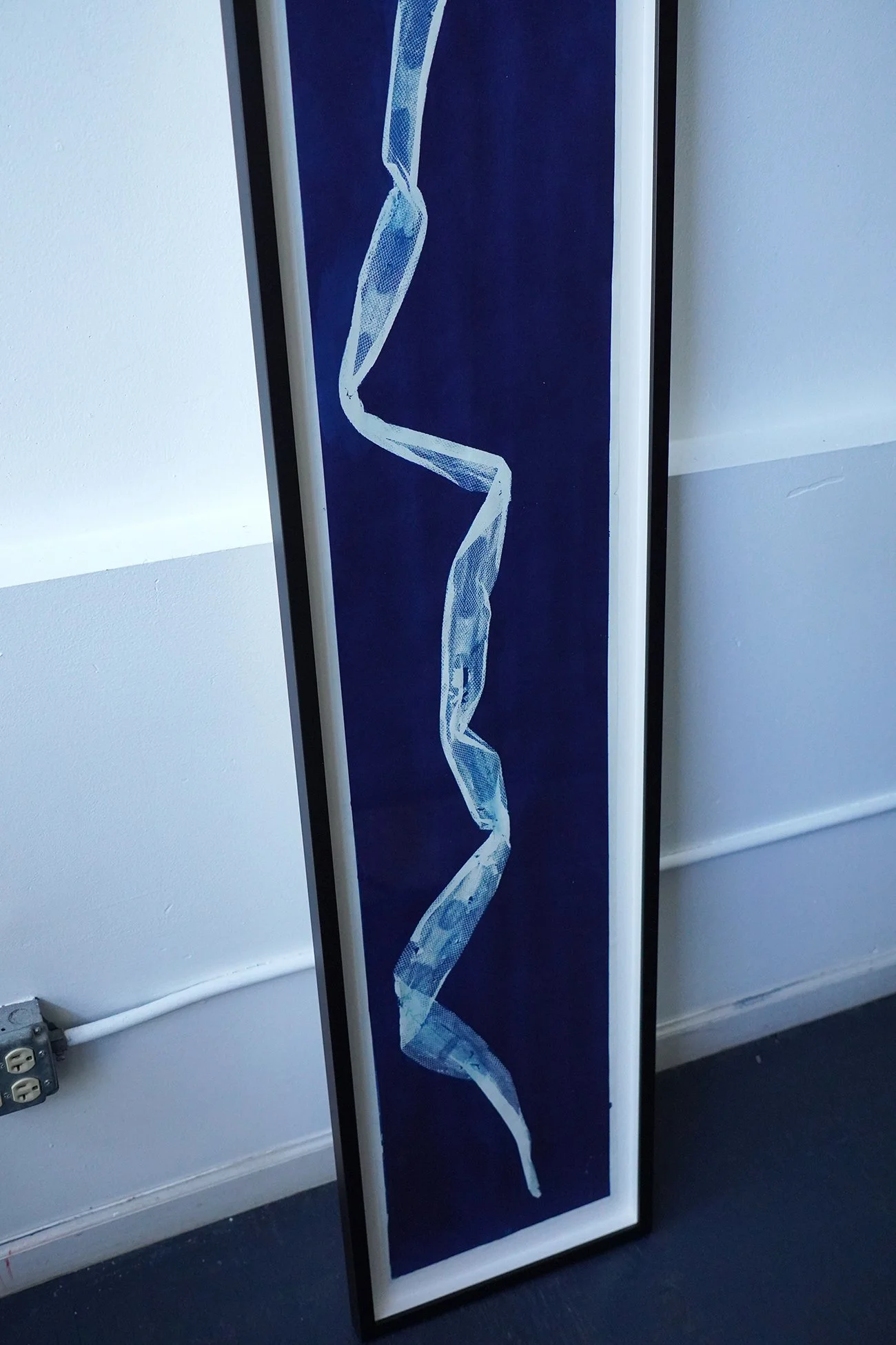 python cyanotype 03.jpg