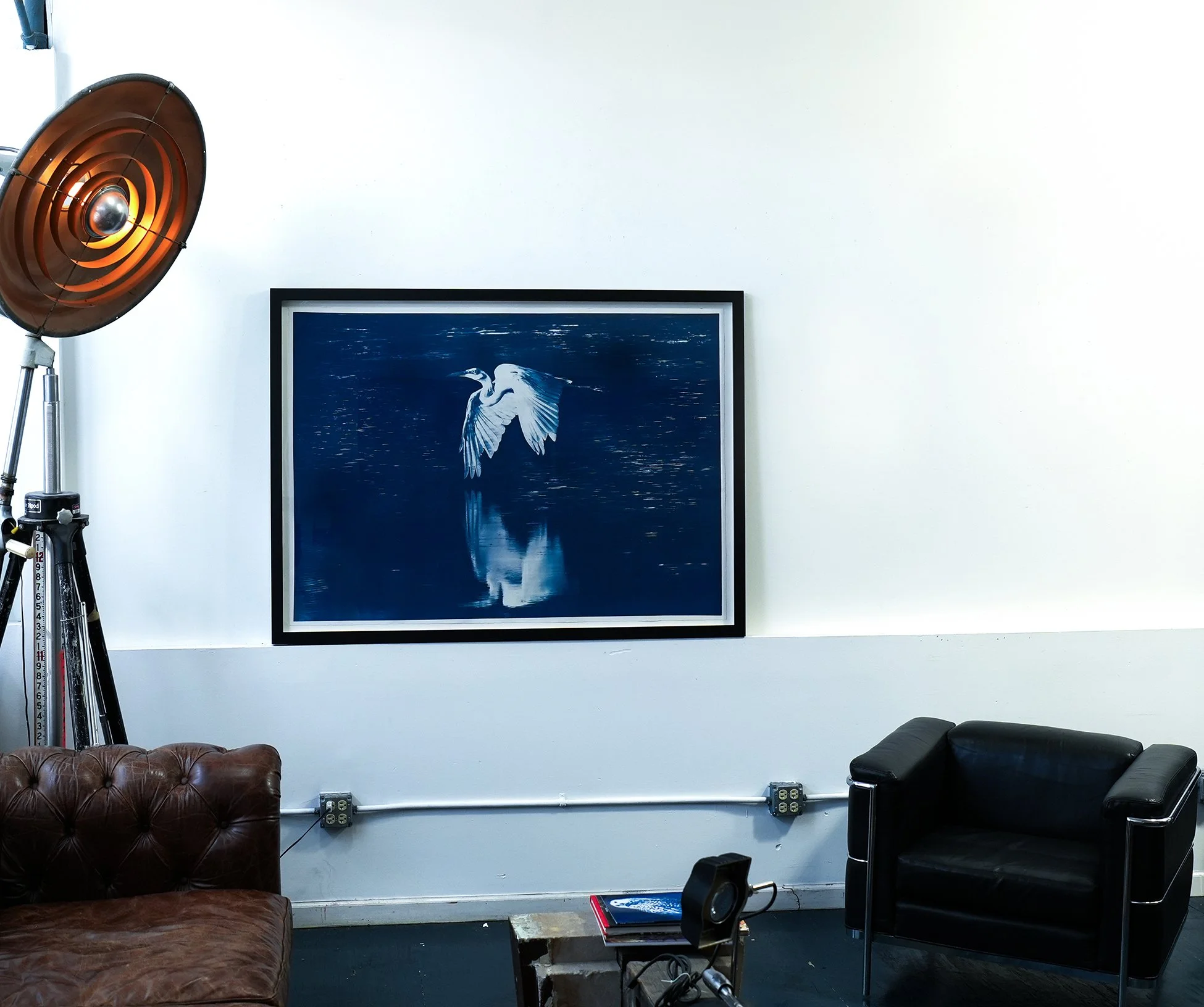 egret reflection 02.jpg