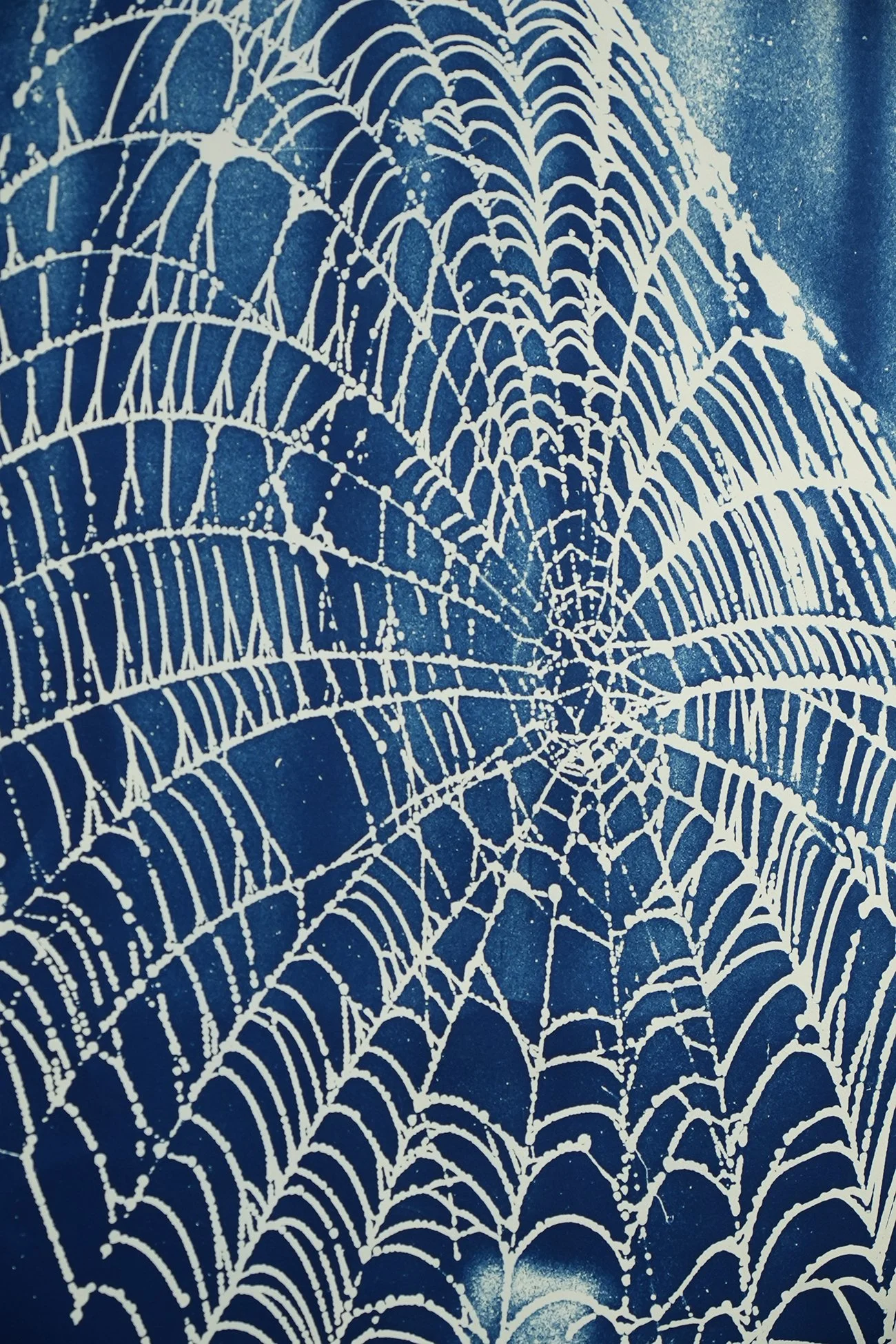 vert web 04.jpg
