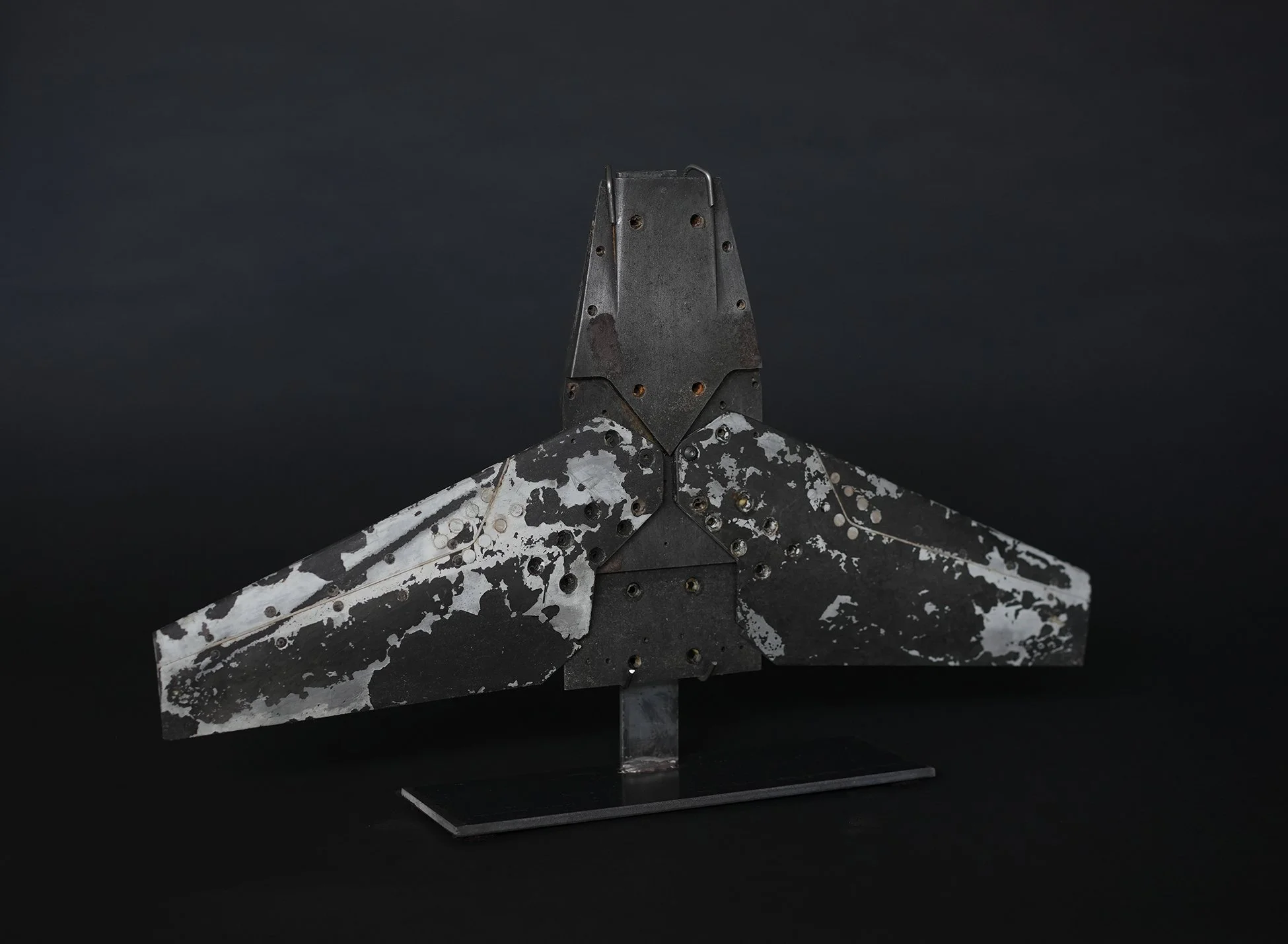 prototype wings 00.jpg