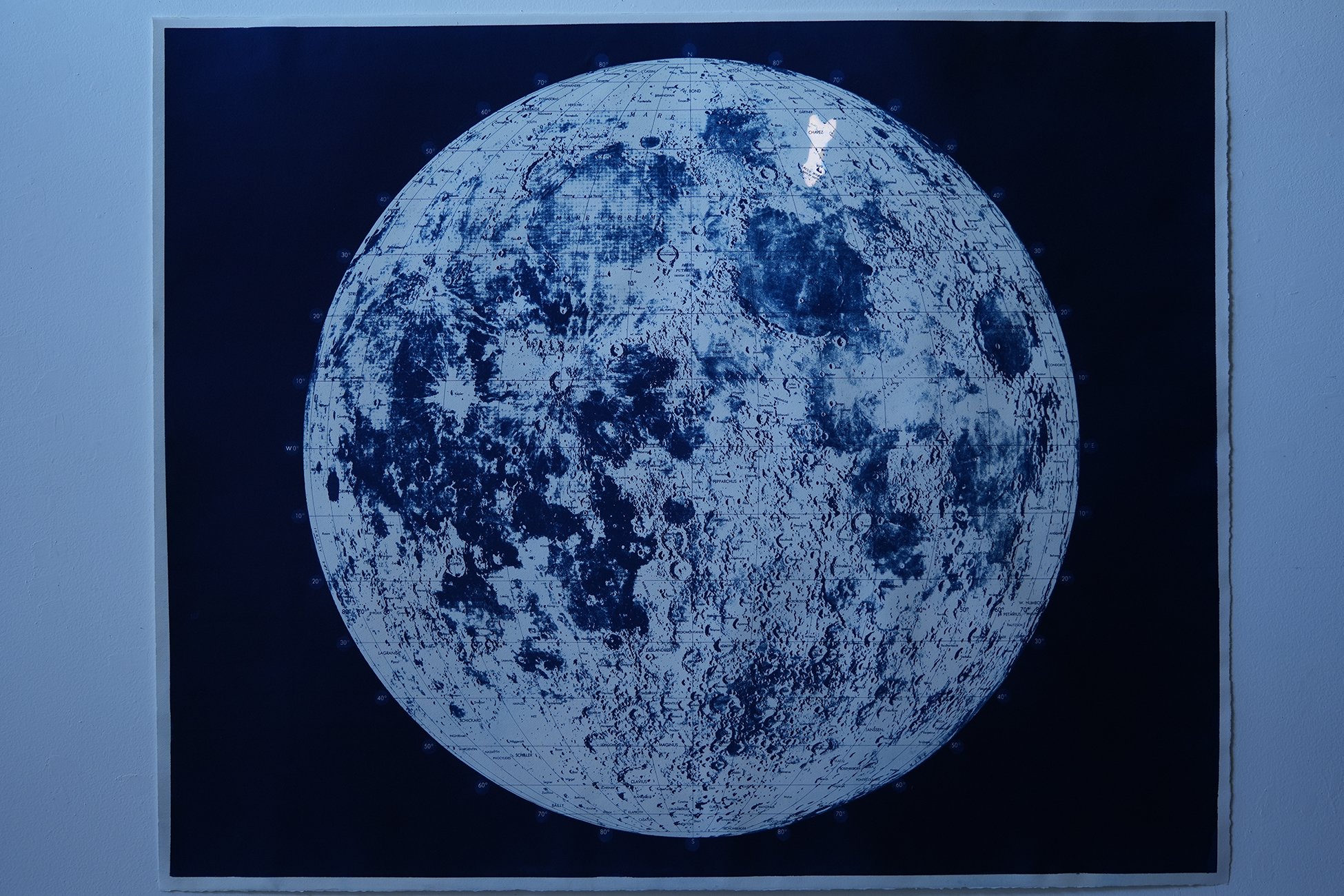 vintage pointer 09.jpg