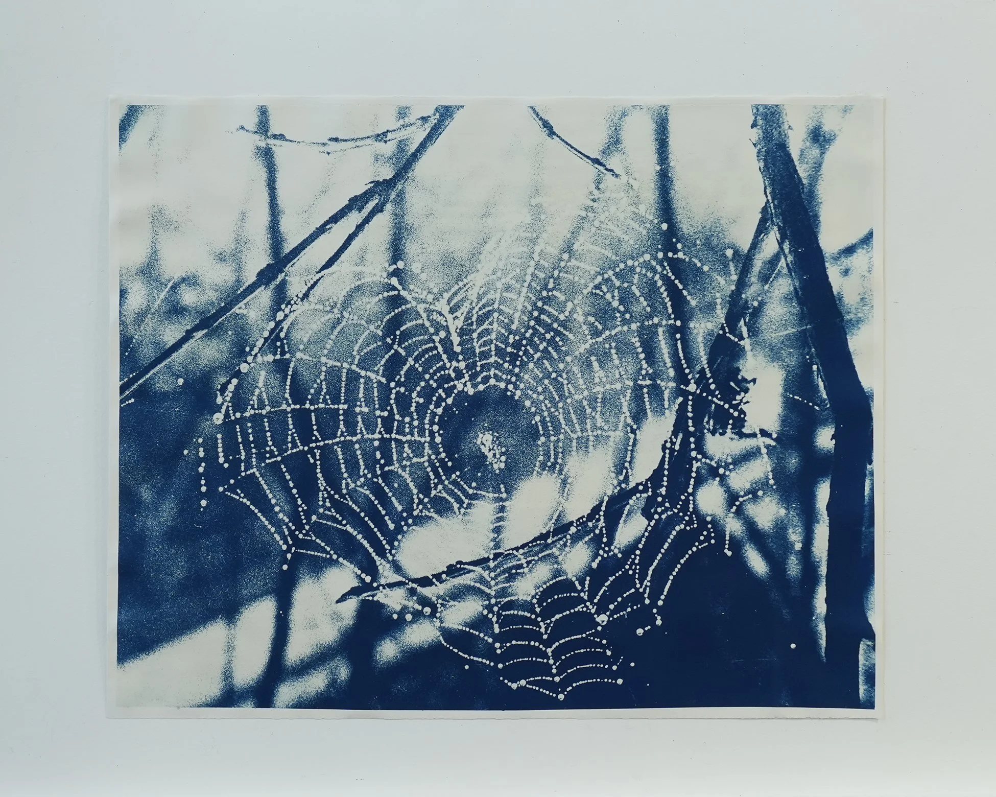 horizontal spider web 0.jpg