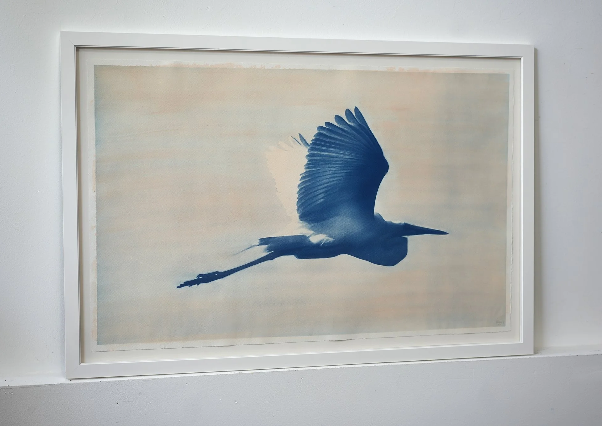 egret museum glass 03.jpg