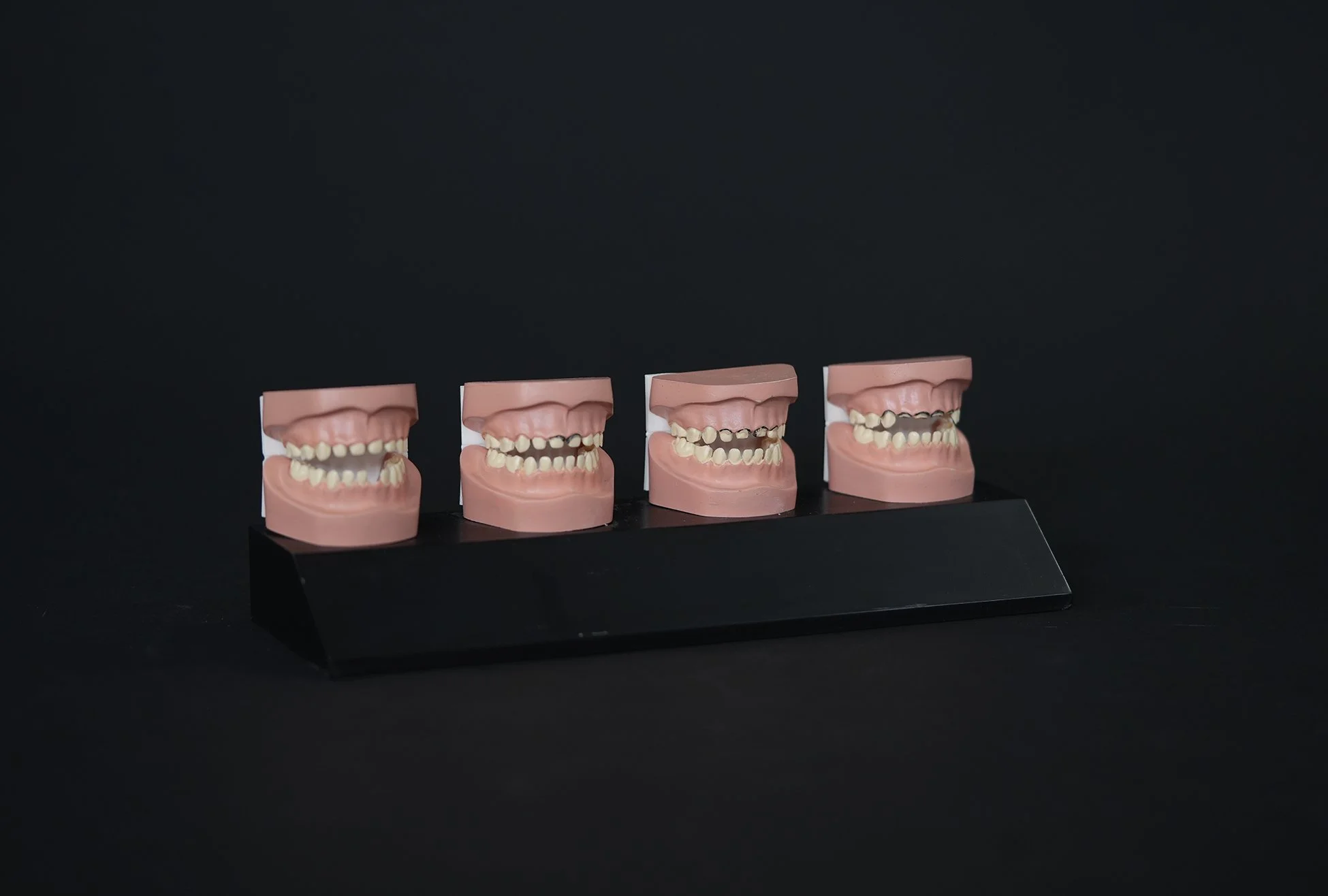 baby decay display 04.jpg