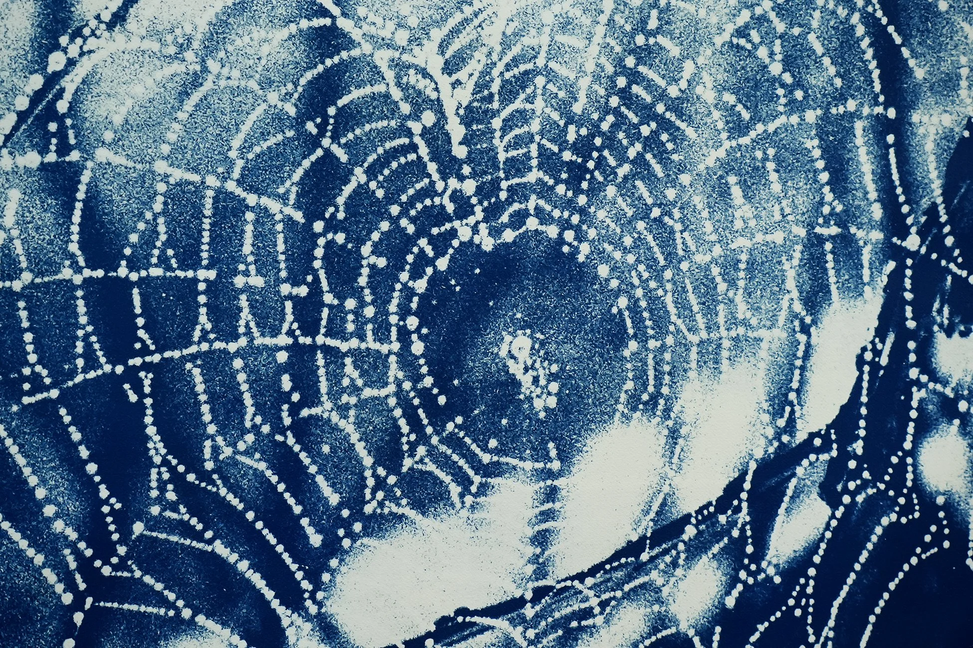 horizontal spider web 03.jpg